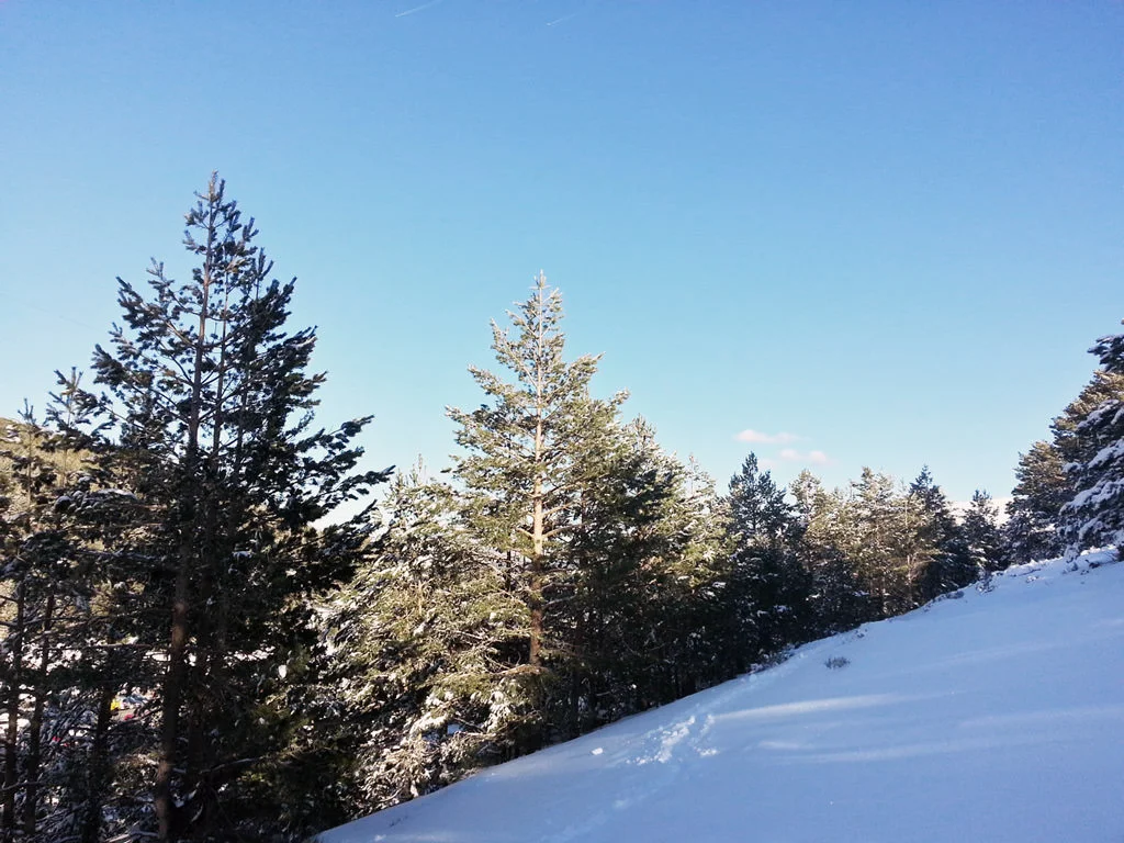 20160219_170247_HDR.jpg