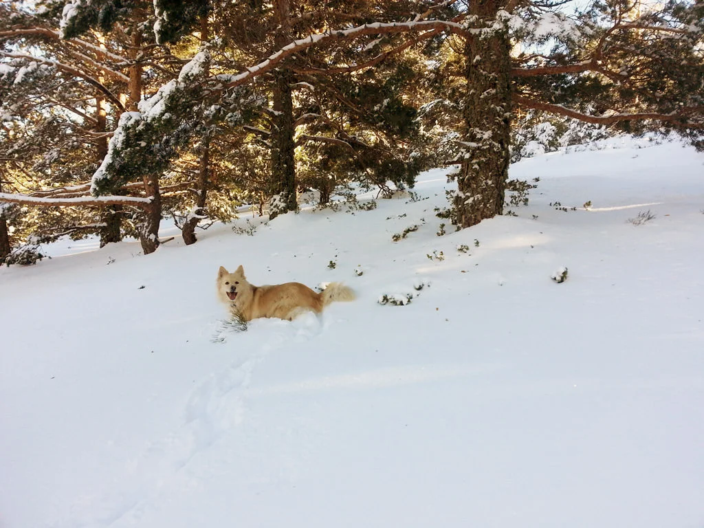 20160219_170517.jpg
