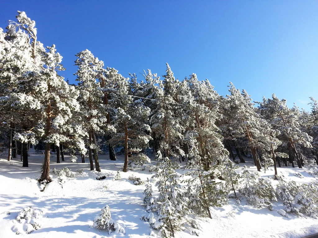 20160219_174441.jpg