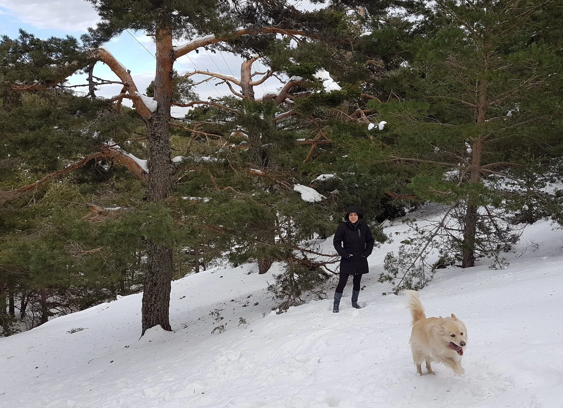 20170216_164529_compressed.jpg