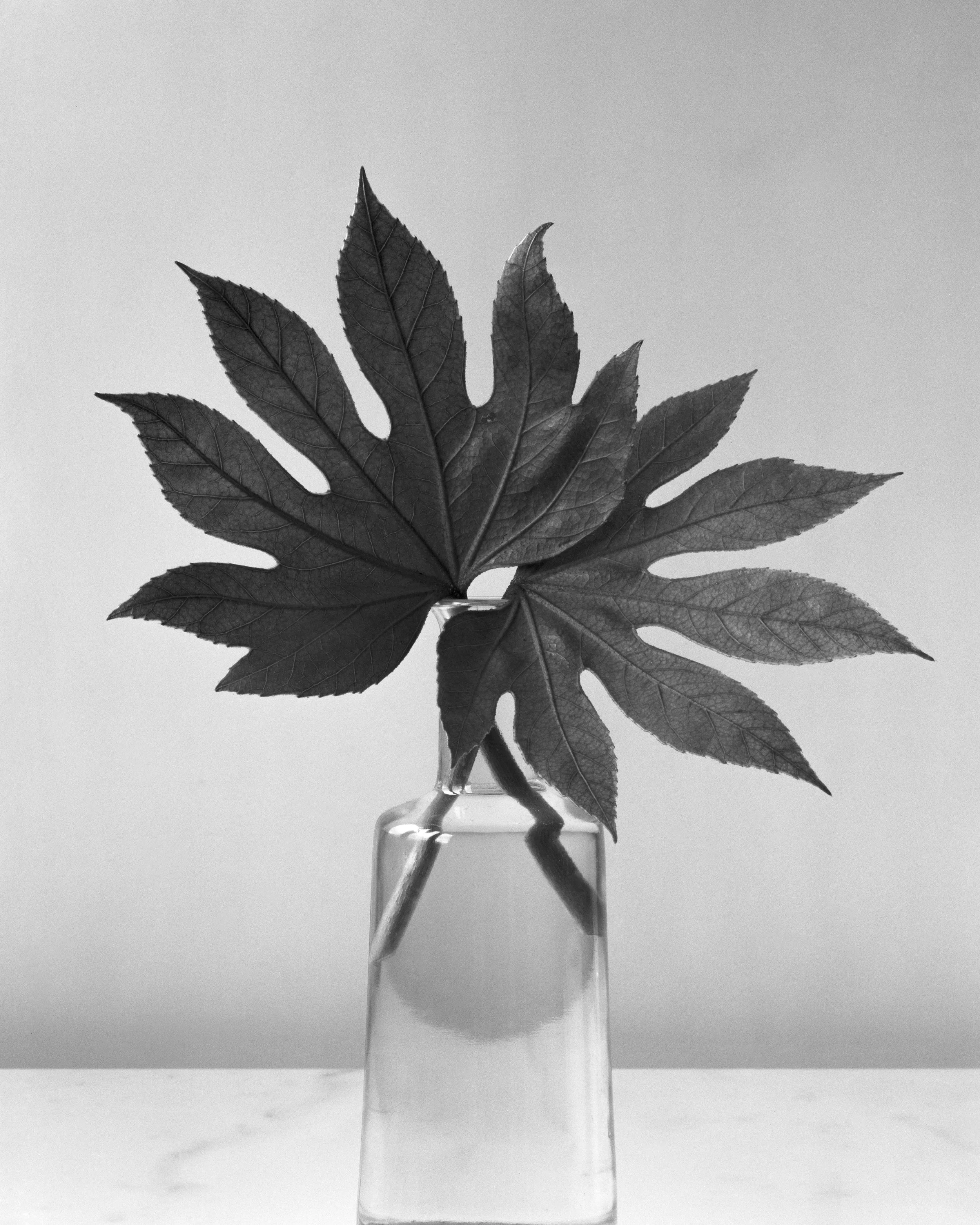   Lucky explores the ways people across cultures and throughout history have transformed ordinary objects into vessels for belief. Whether inherited through cultural tradition or discovered through personal experience, these forms become repositories
