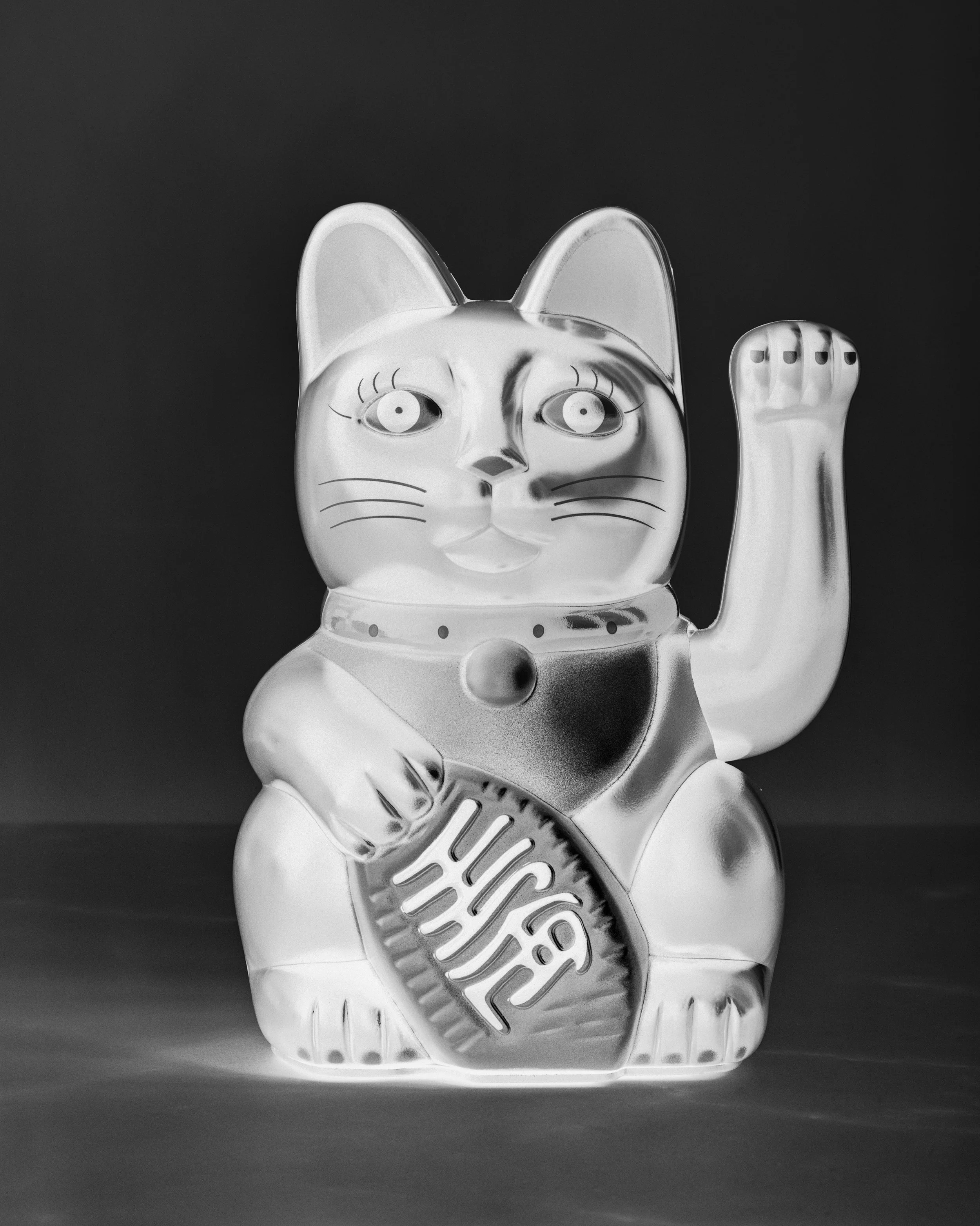   Black Cat, 2026  
