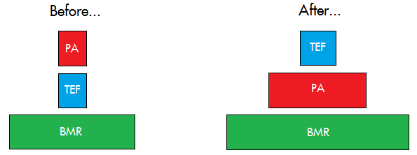 Weight Gain v Weight Loss Pyramids.png