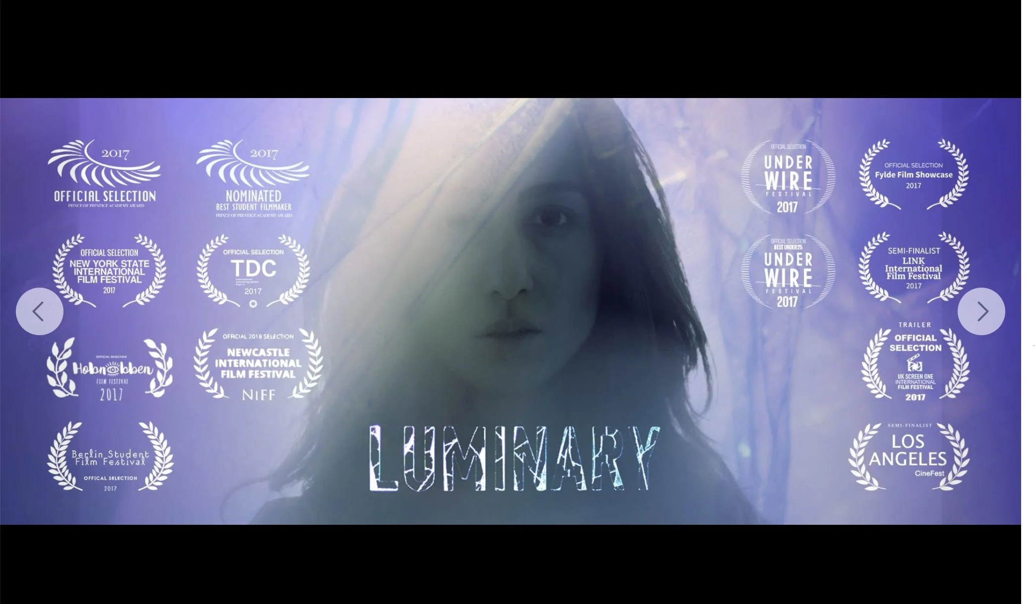 Luminary film festival photo.jpeg