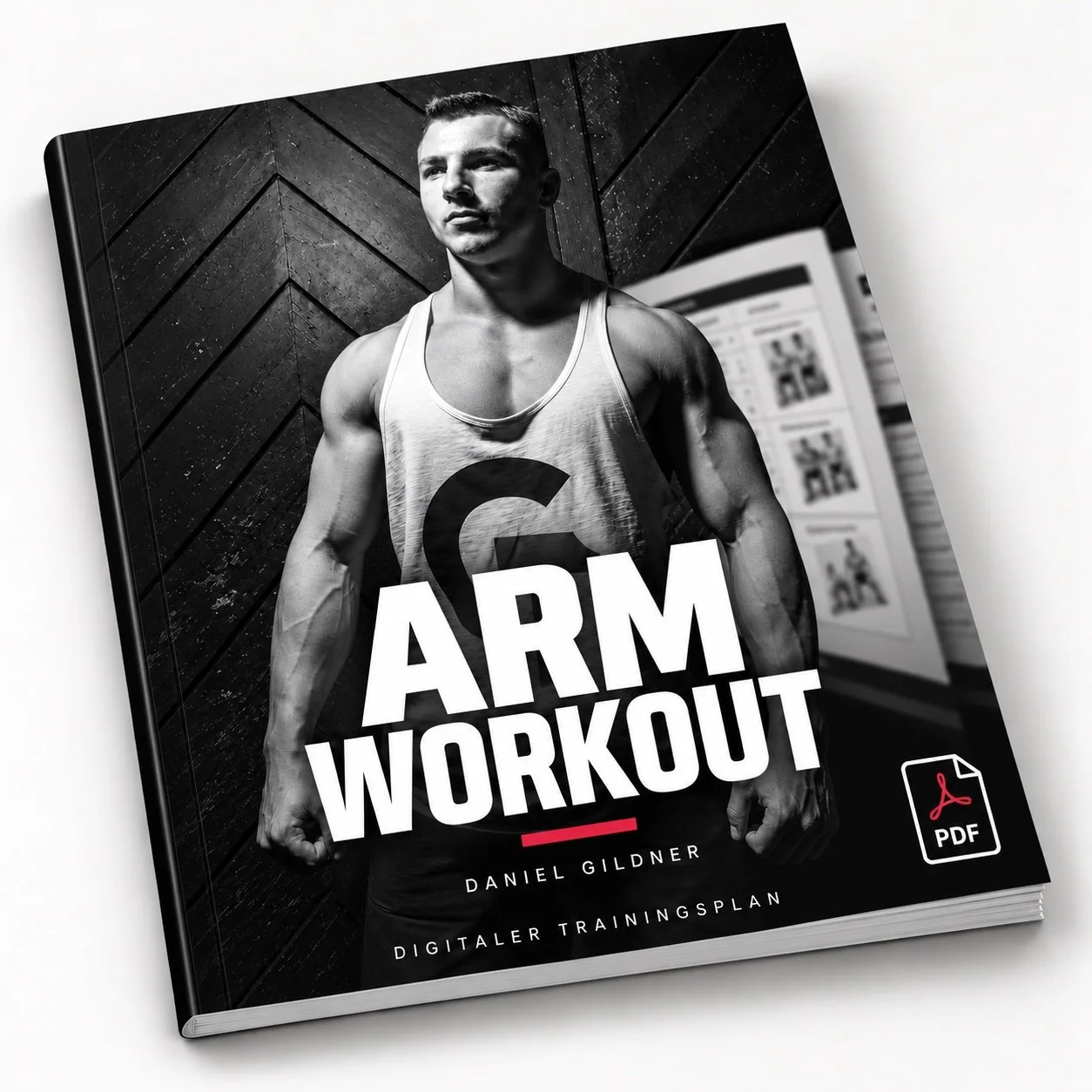 ARM WORKOUT PLAN
