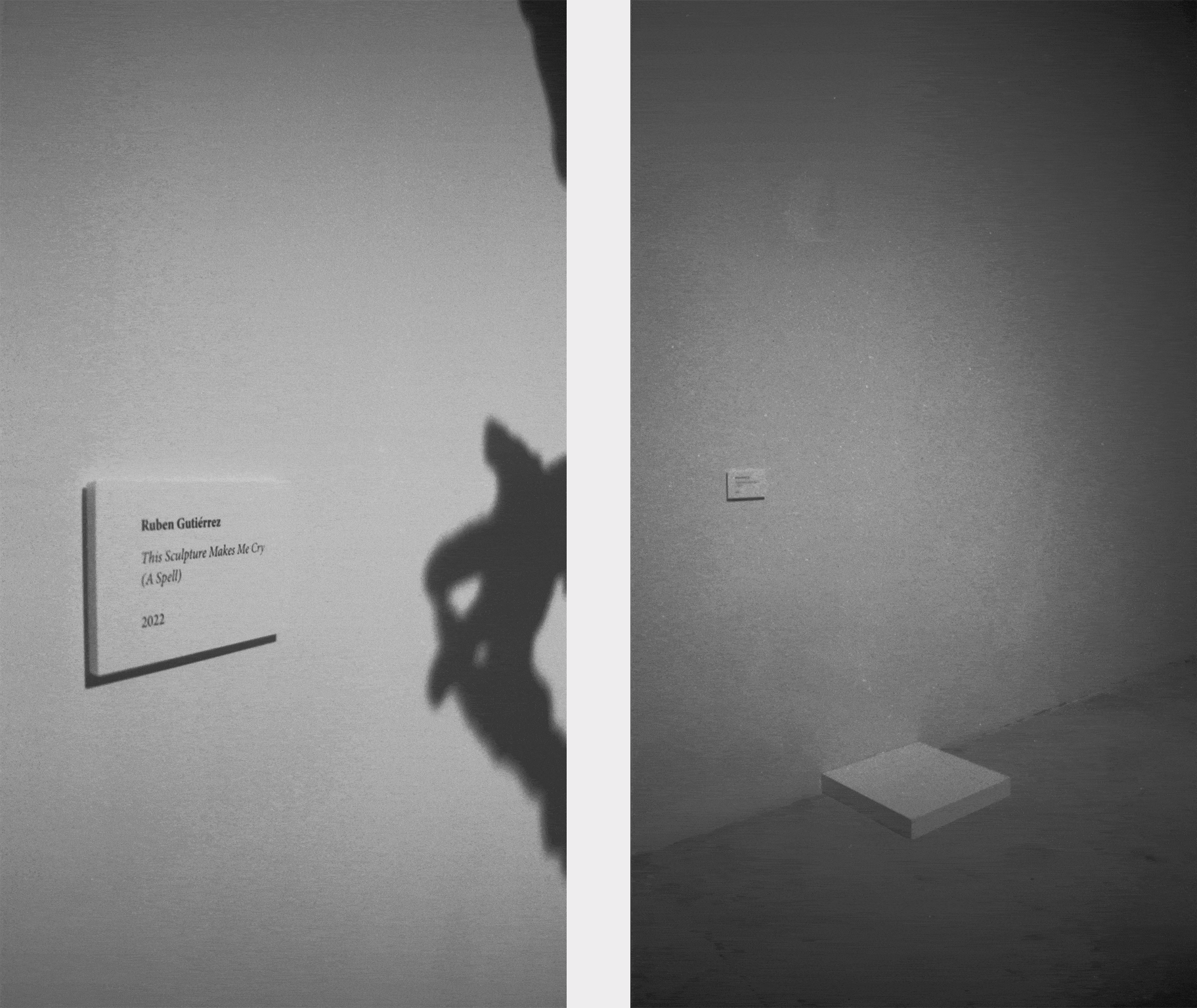 THEFT-1-copy-2 copy.gif