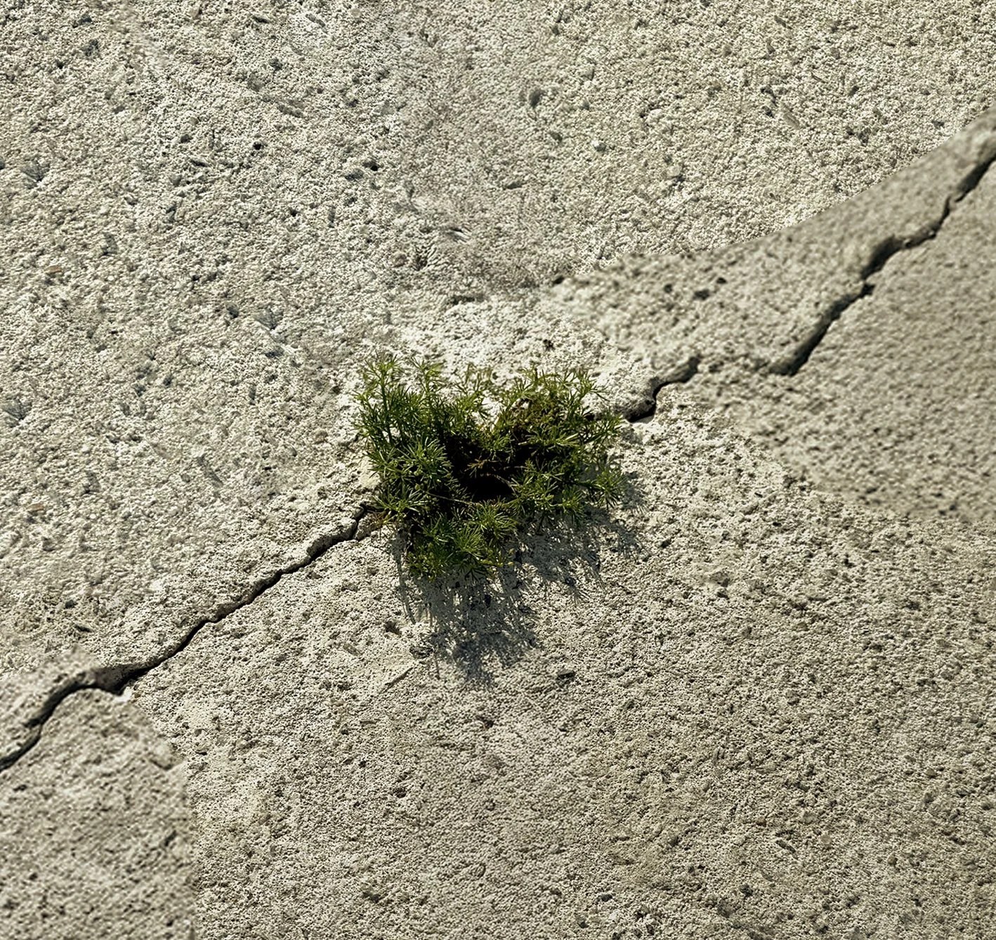 thumbnail 1 copy 2.jpg