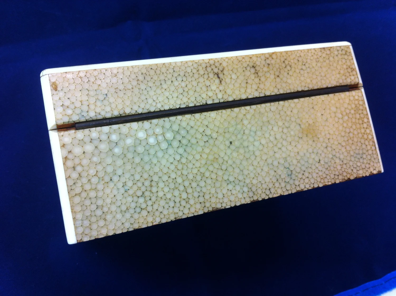Art Deco C.1920 Shagreen Fish Skin Cigarette Box With Ivory Trim  Wheeler  Antiques