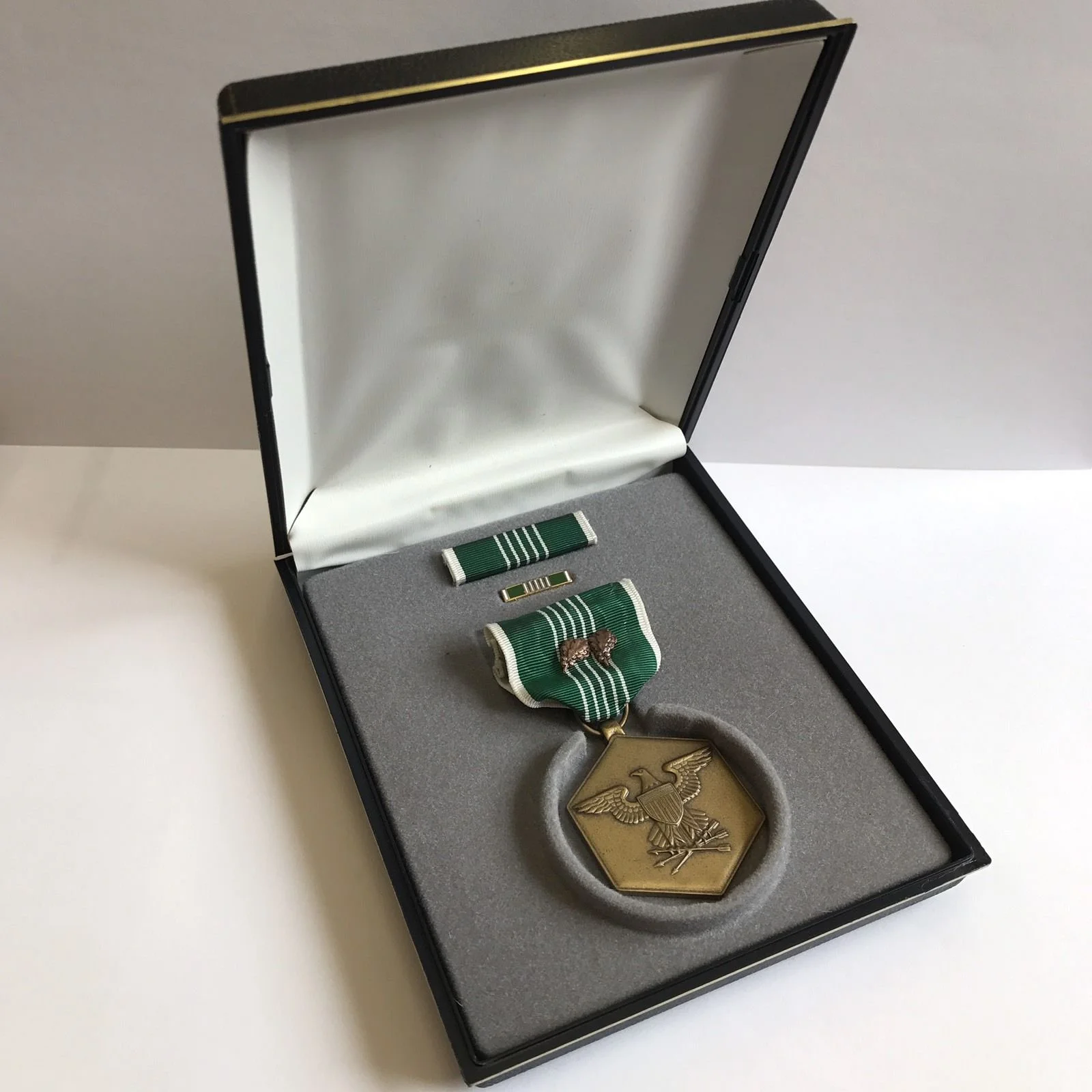 United States Of America Military Merit Medal Ribbon Pin Cased With Two Leafs