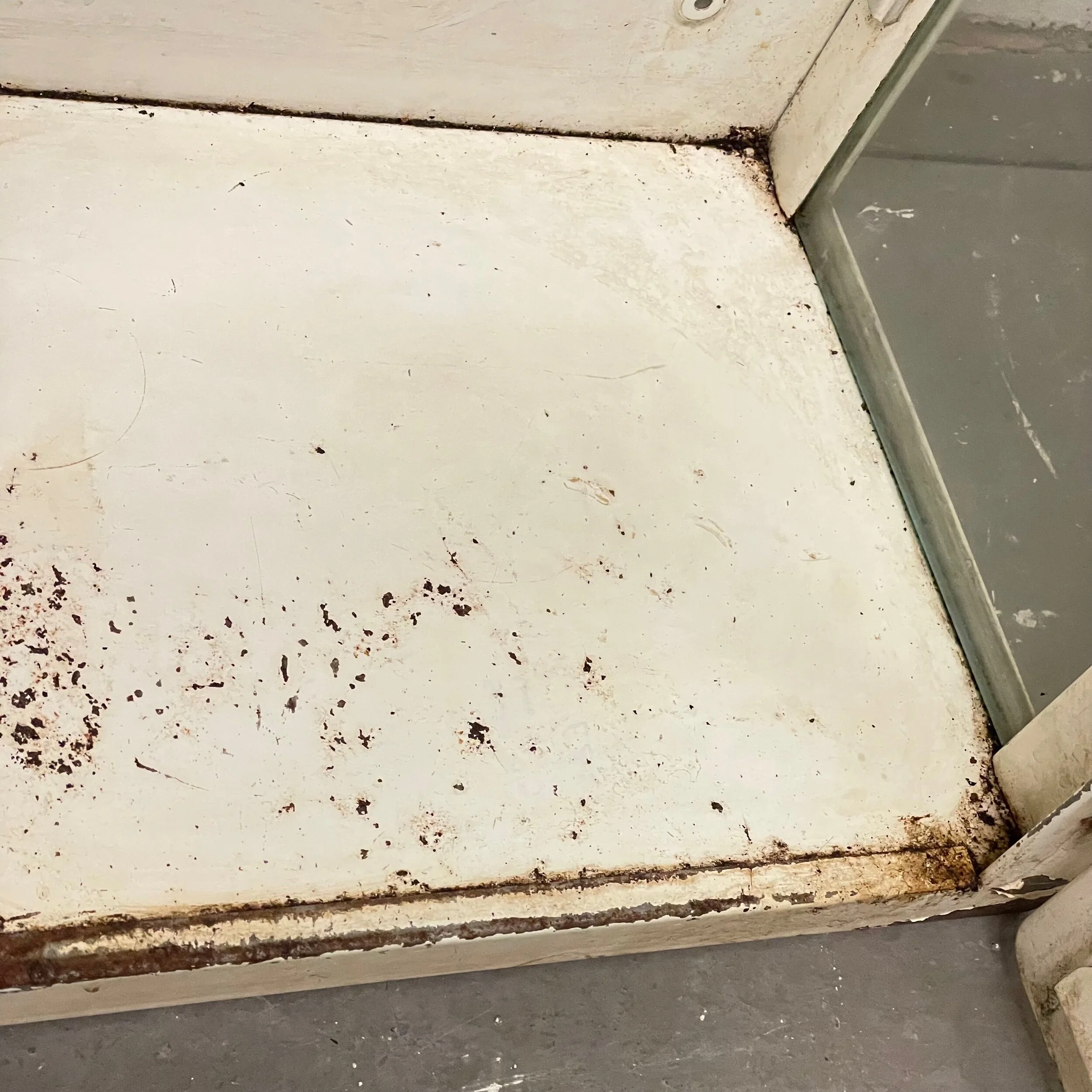 BF260EA1-4821-4197-A7FF-257E7B37F11E