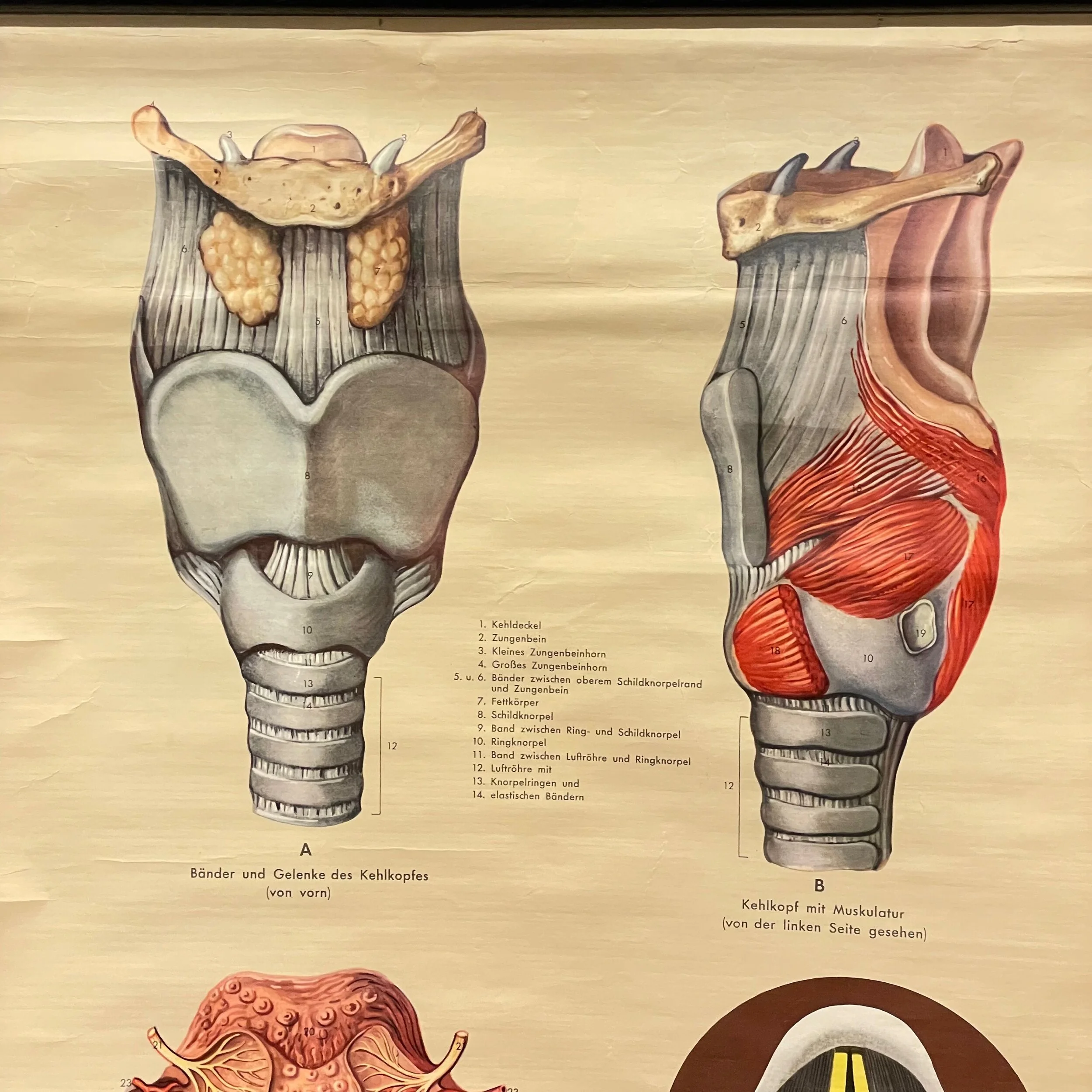 9AE4BCDB-F904-4A17-80C5-2EBB4E2EF753