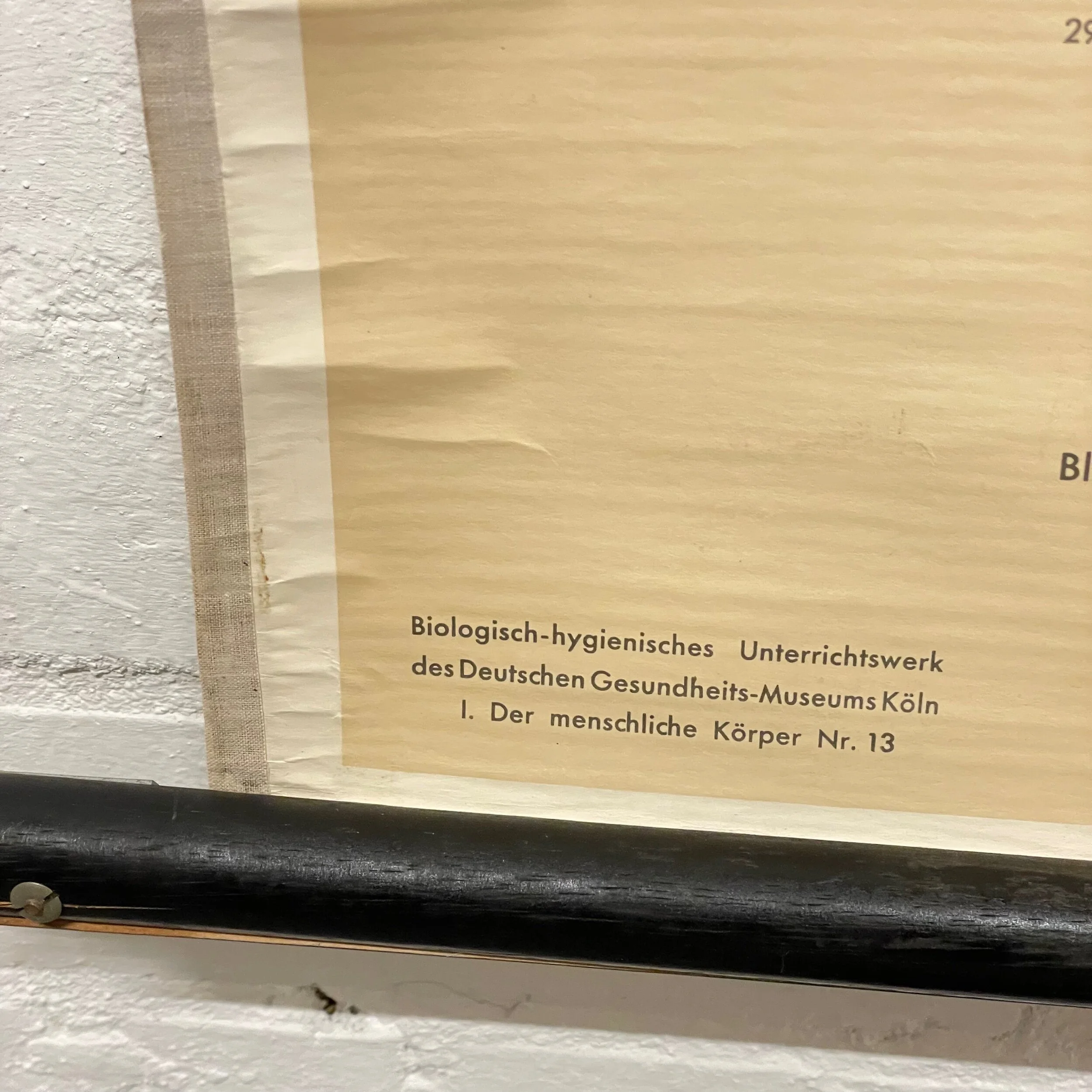 5EFA523F-3DBA-4264-83FA-890037F556AD