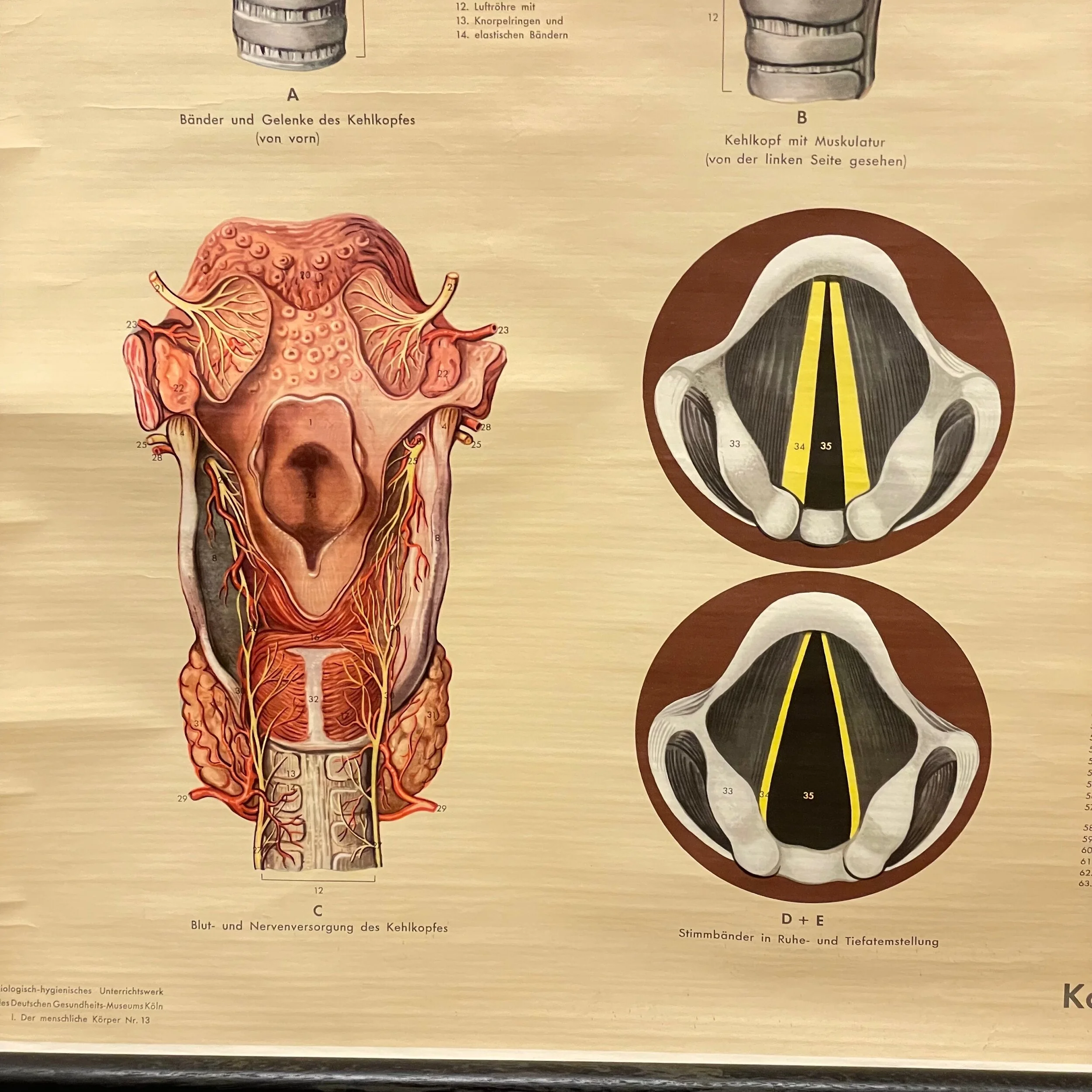 6A35063F-44AA-4040-90D1-53A7C68BB81C