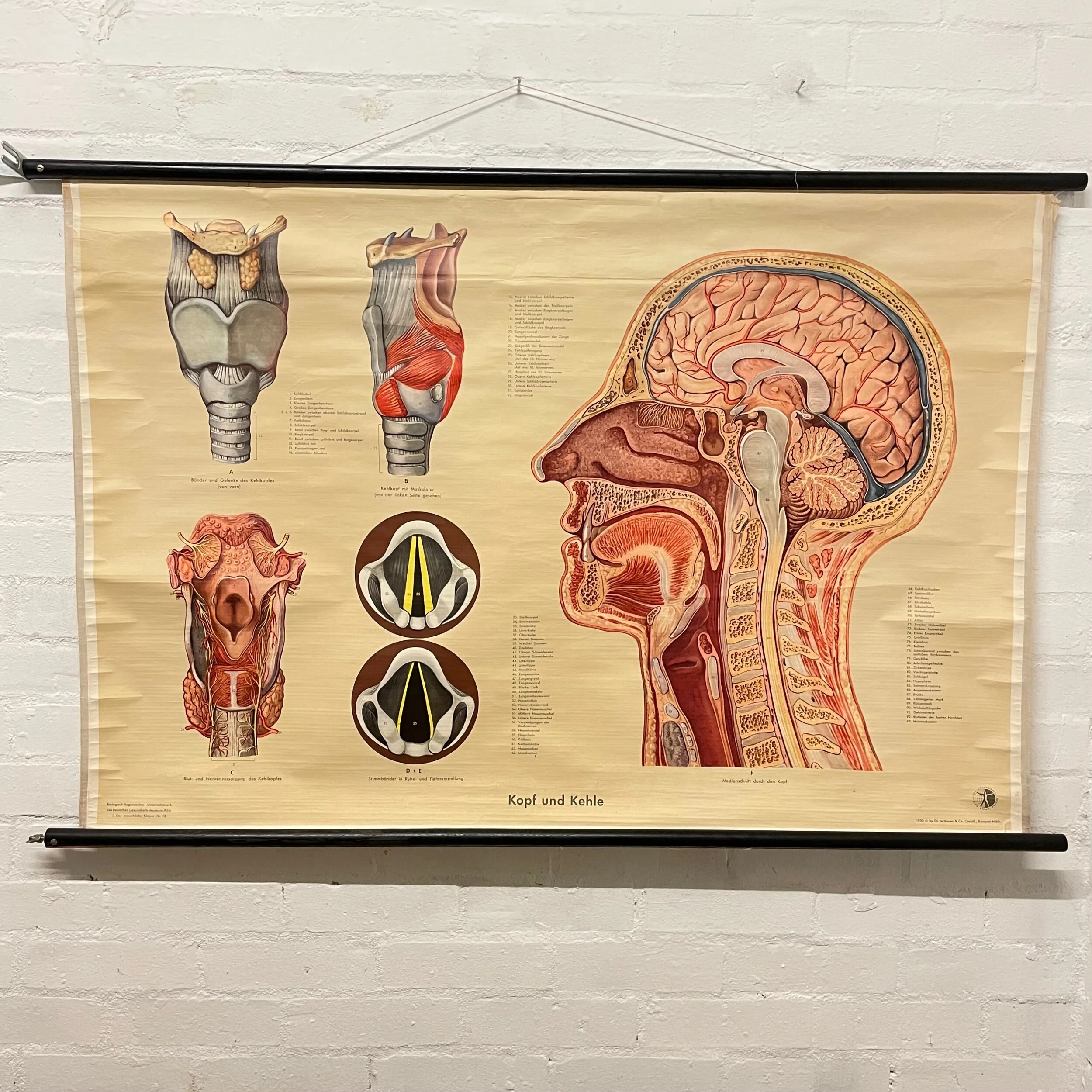 1DAC1C3E-3F14-4A11-9078-3631AC79B7FA