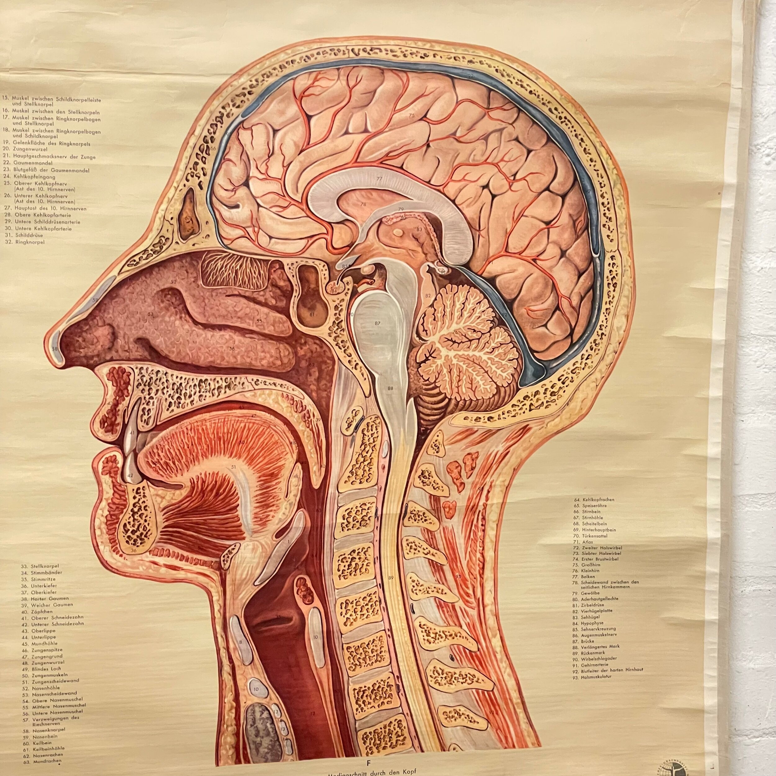 ECF87934-4829-4A46-B205-056569175976