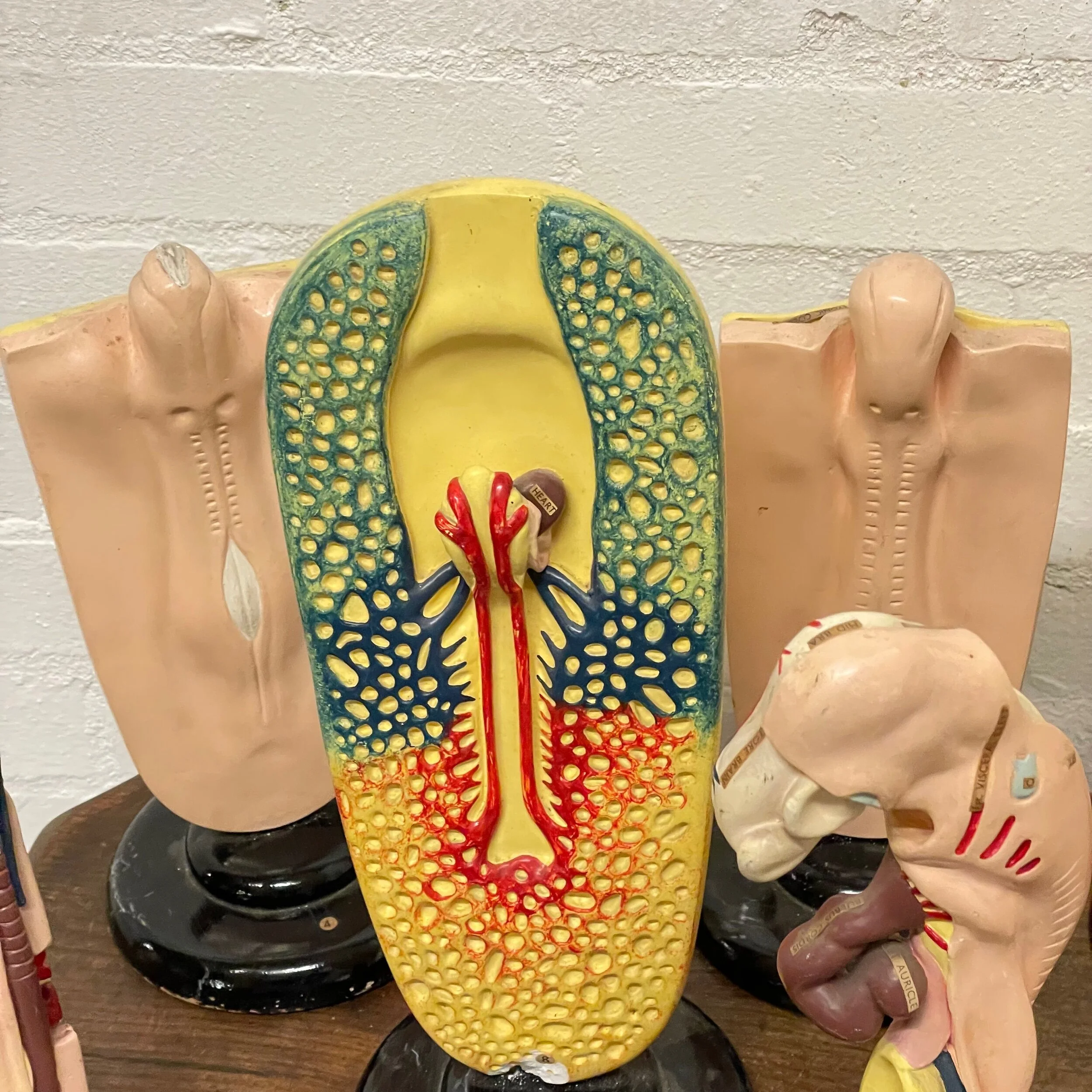 45C434E0-2557-4943-8AFE-D731A16D6387