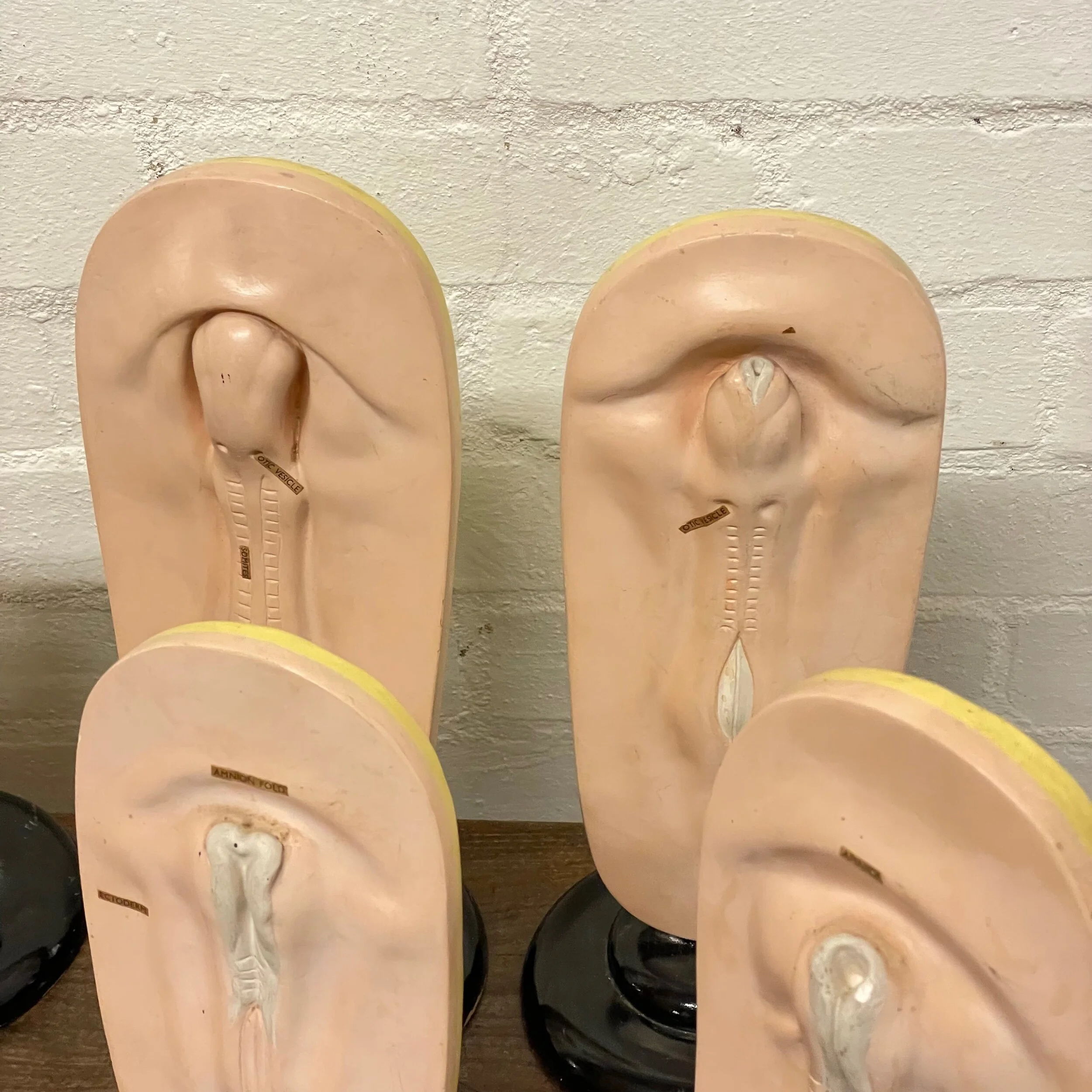 AB5A79E1-1771-4644-A23A-E9D3AACB773F