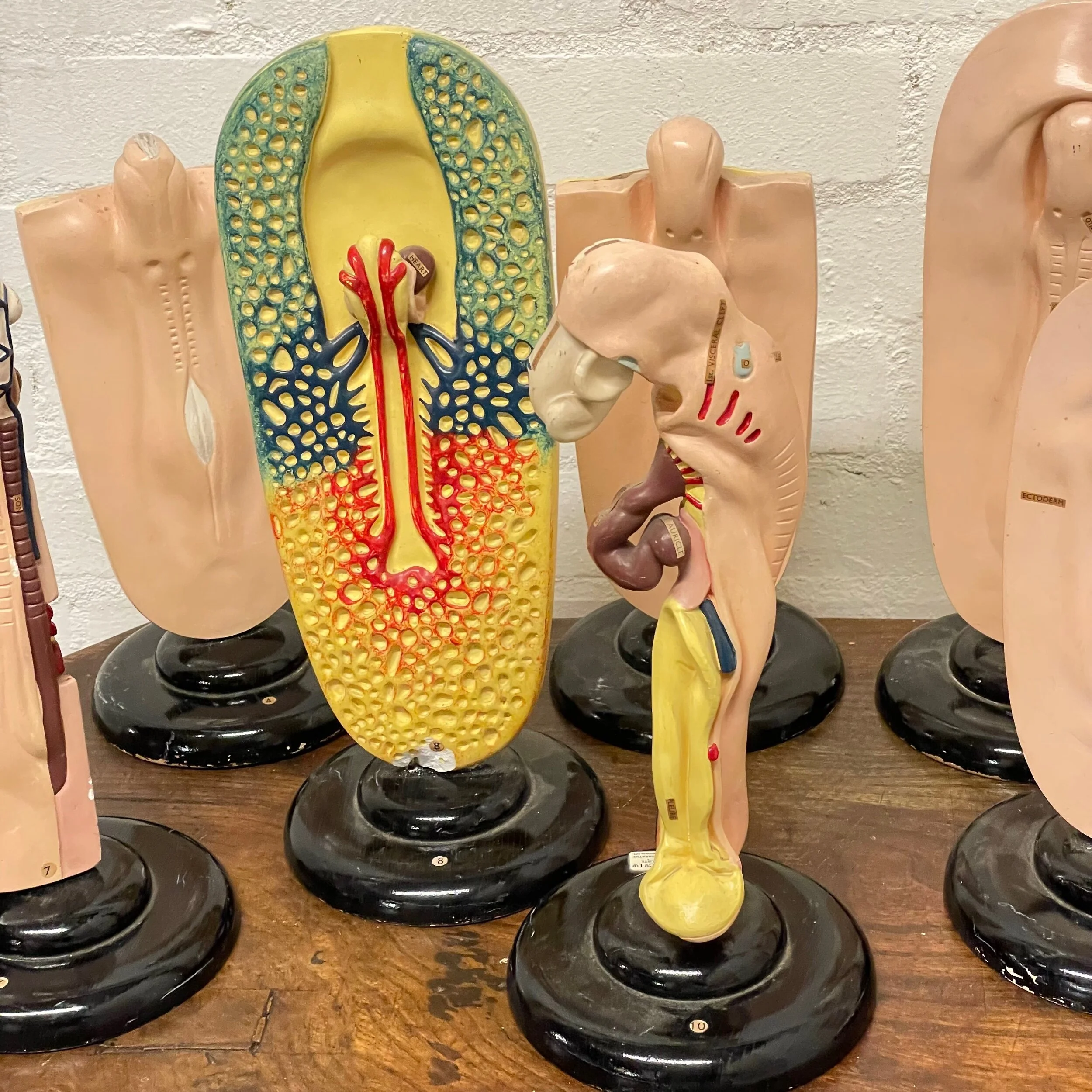 7E1CDA40-867F-4C60-A6C5-815132CB2BA2