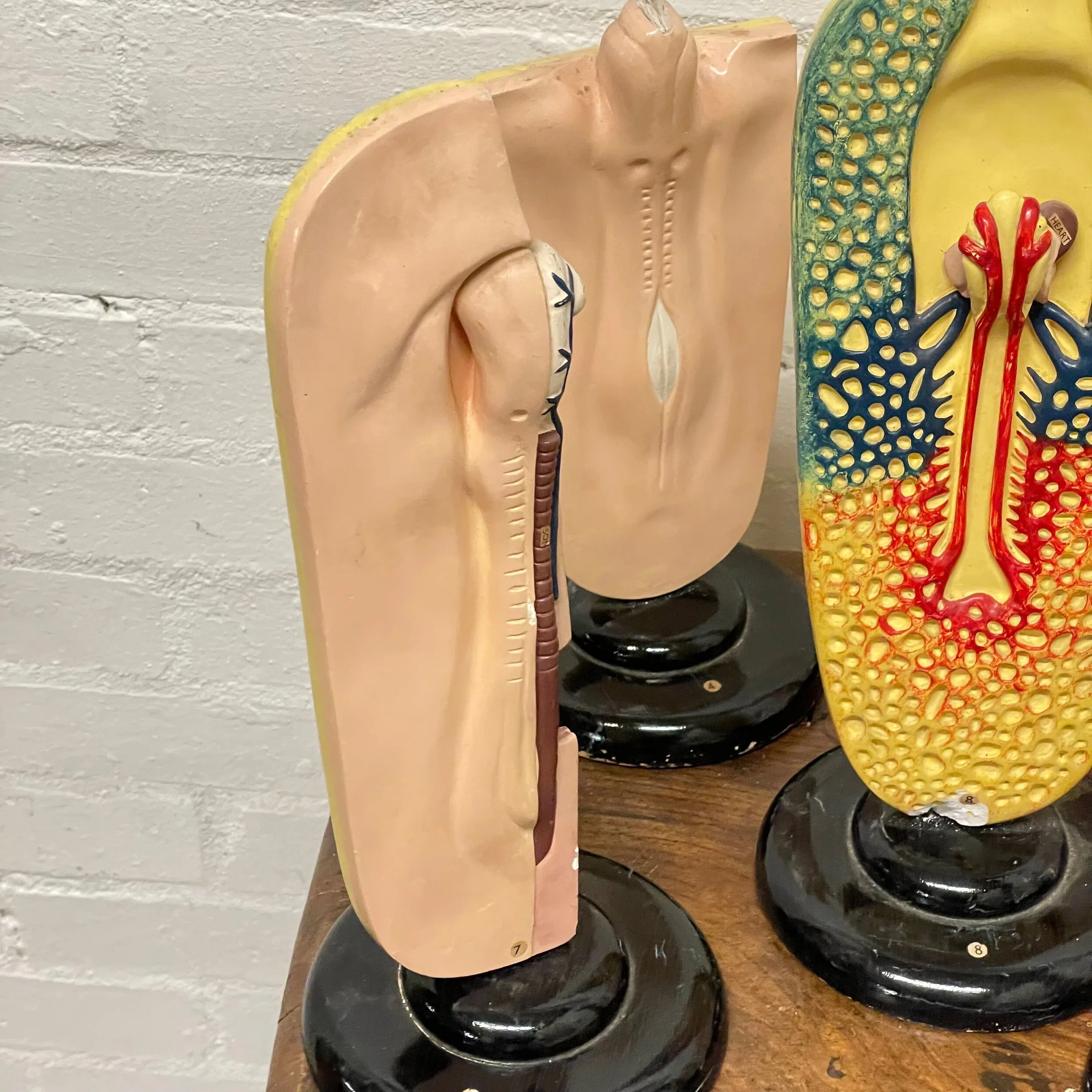 92BB0EA0-C8C8-477E-BC4D-BAC5AF4D8604