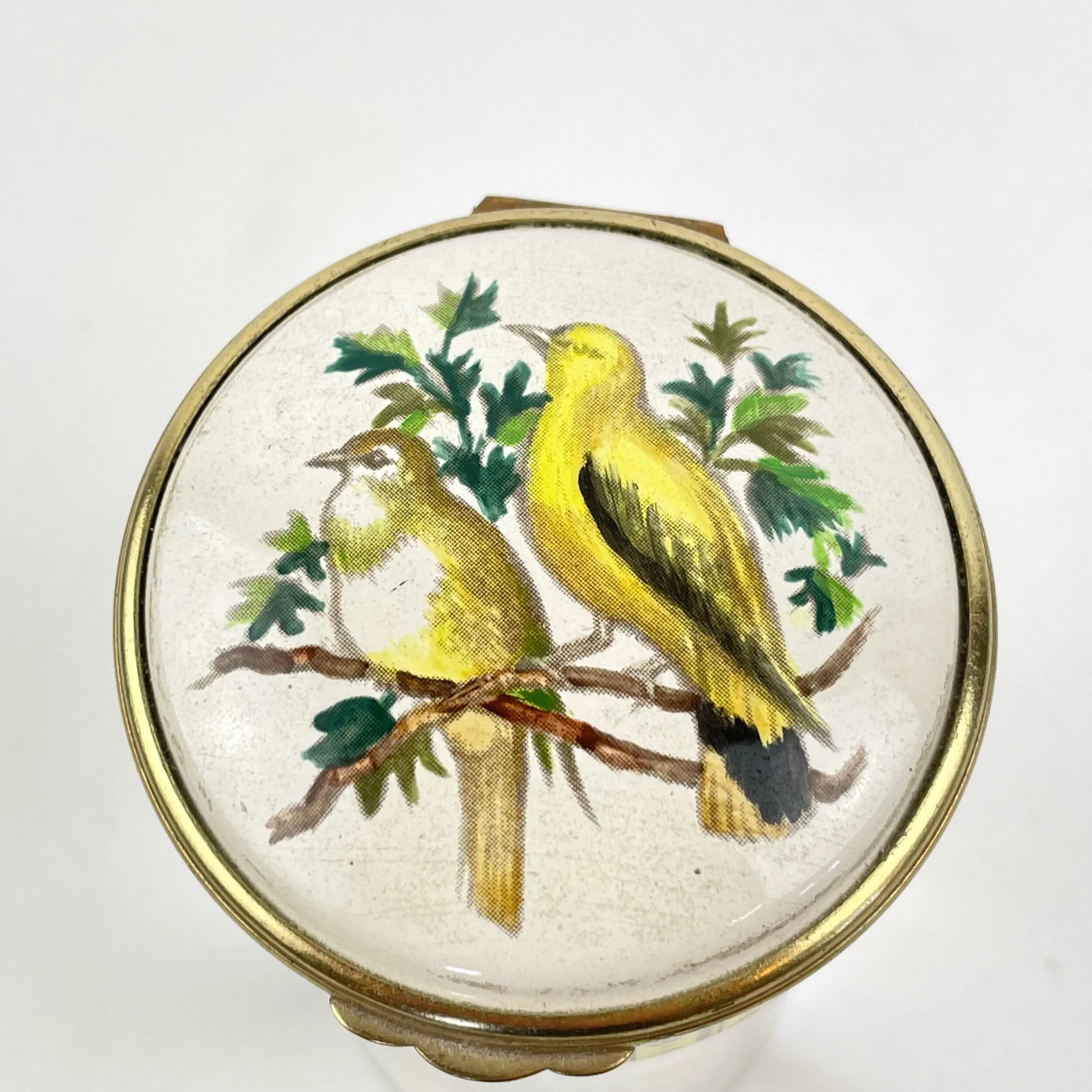 B6034FB1-DFDE-4432-B606-0C5A5DB61A19