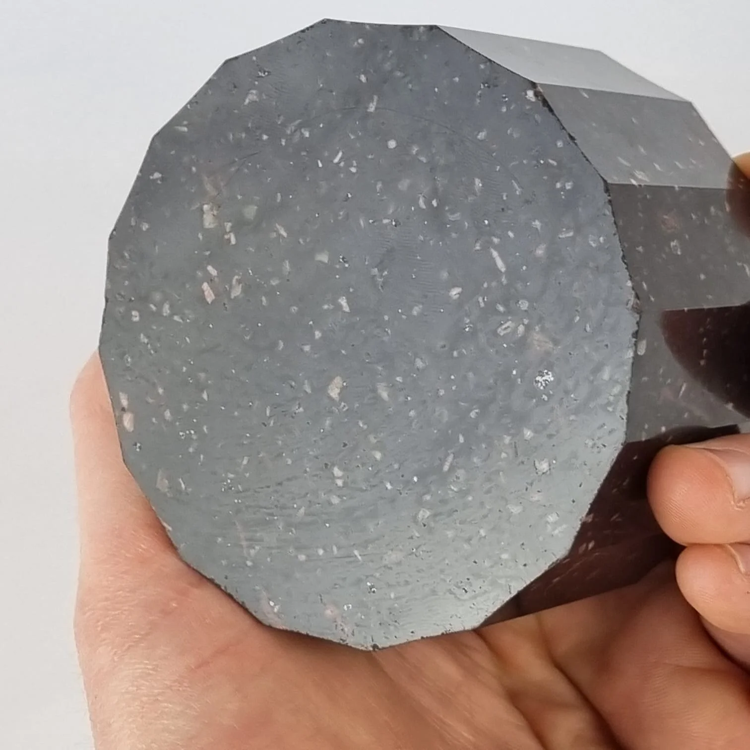 7D3A5918-1275-4D82-9C2A-FCACCE9FF139