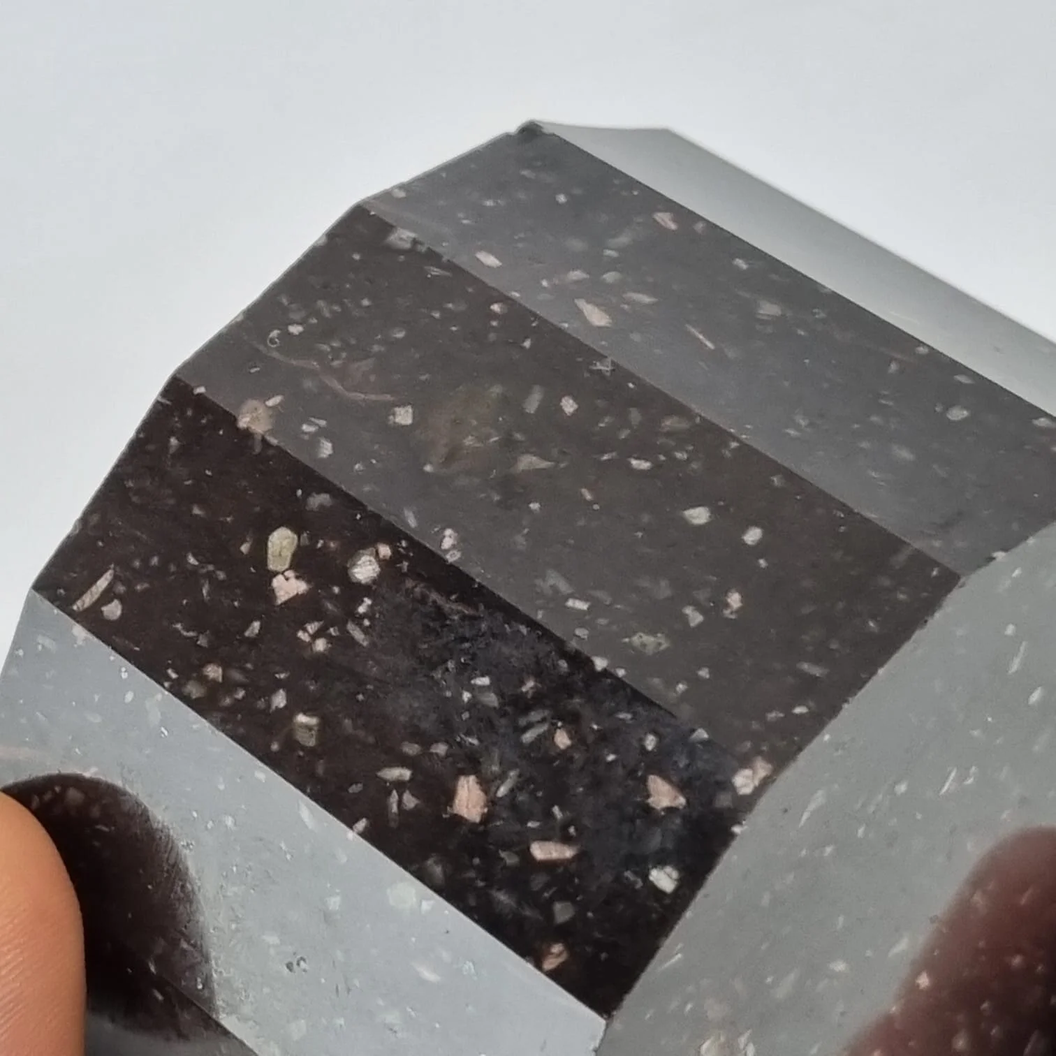 3CDCF499-714E-4436-8869-F6A45E3692F1