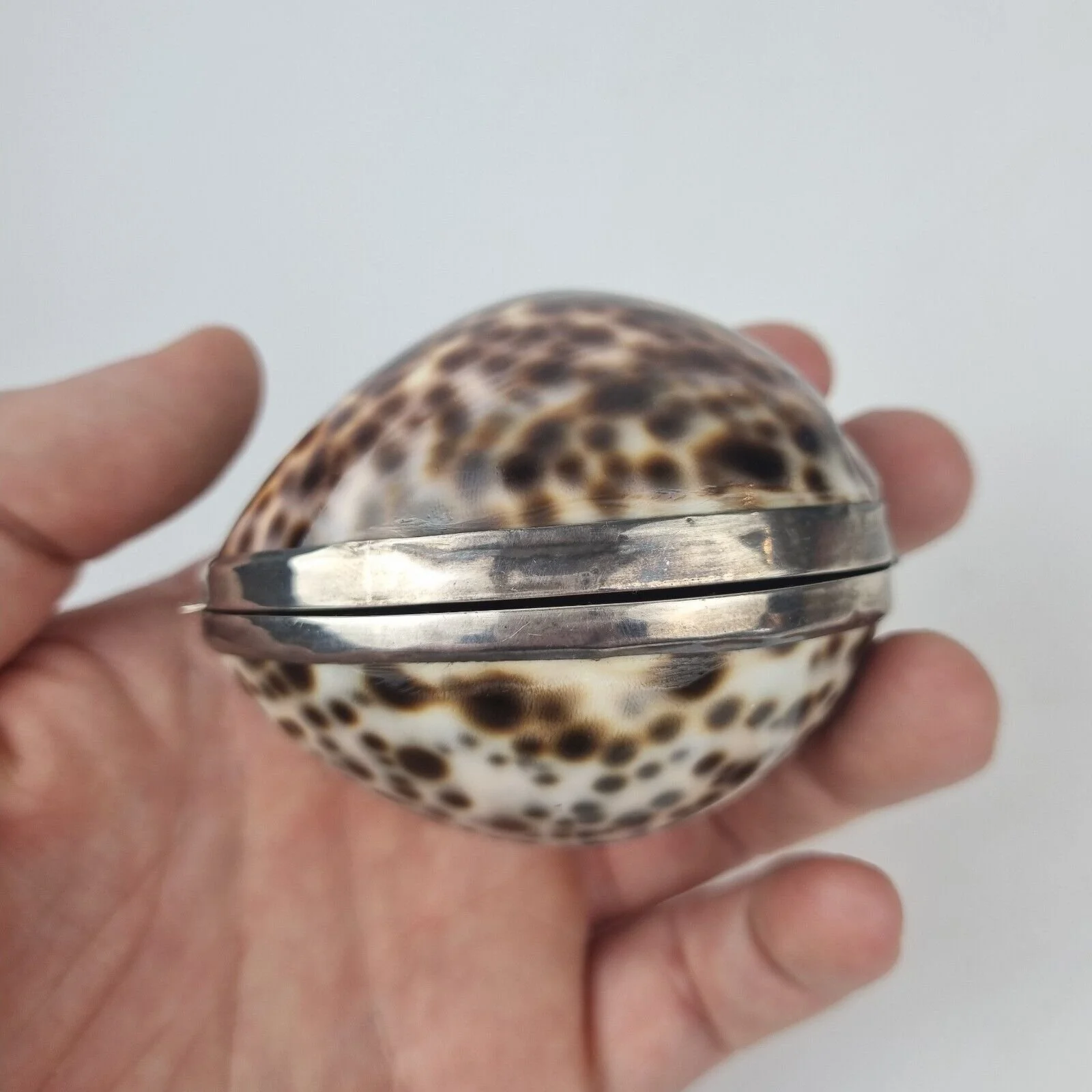 Vintage Italian Silver Mounted Cowrie Shell Box Stamped "Italy 925