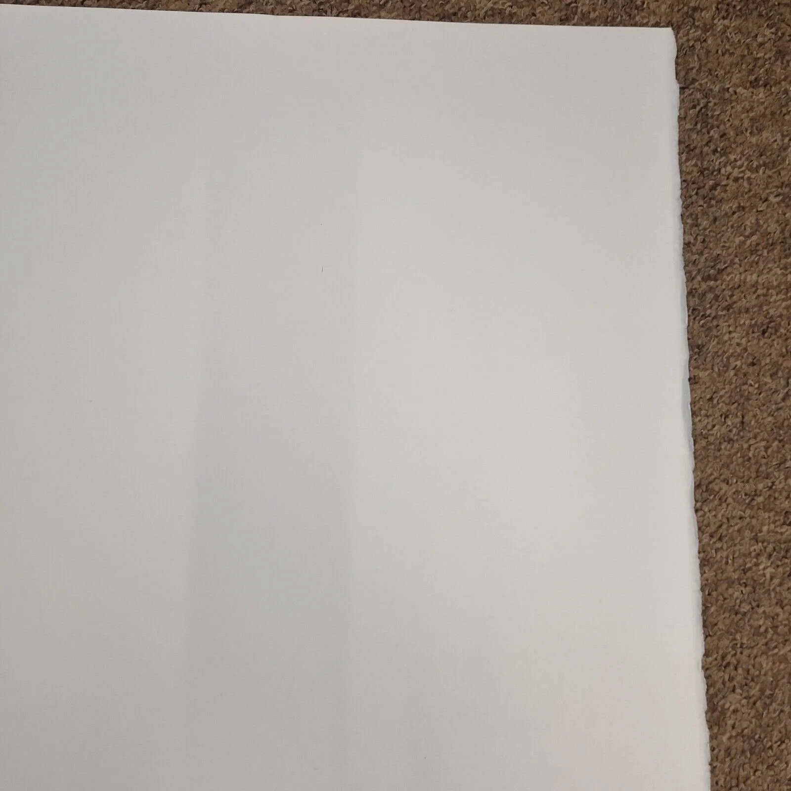 e.jpg