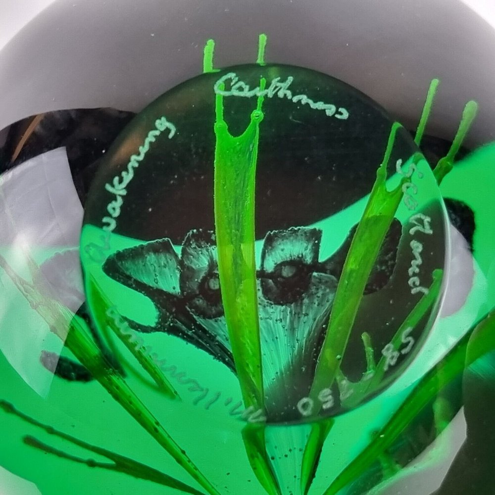Caithness Glass Joy Lime Paperweight | Multi-Coloured | 80mm X