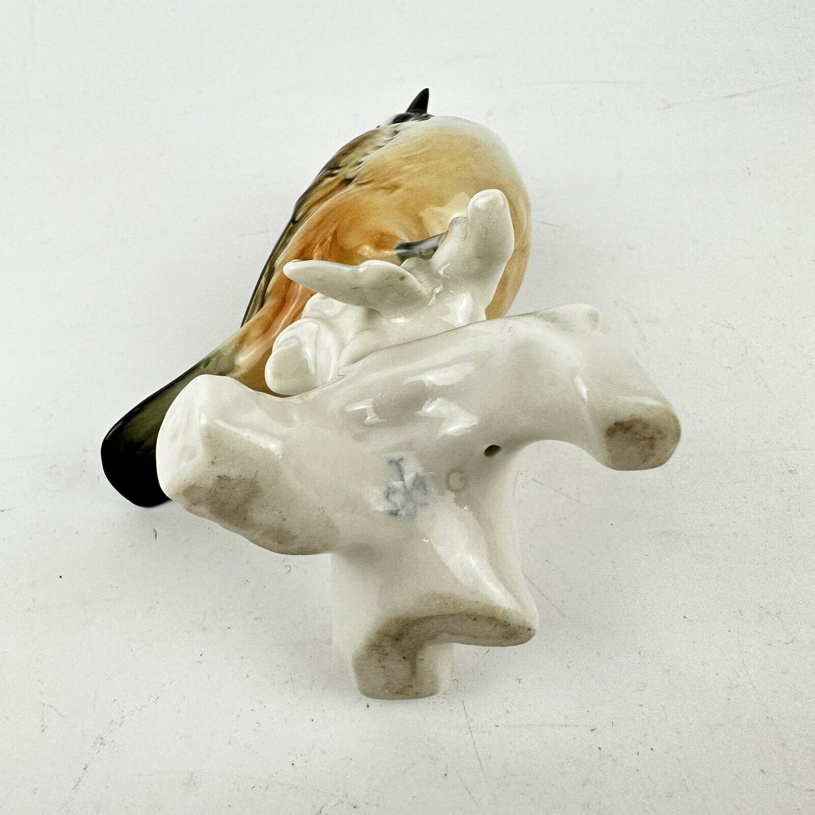 g.jpg