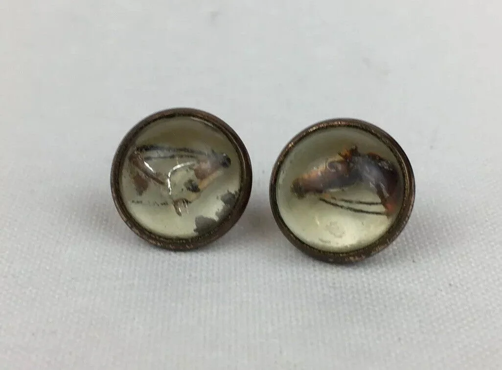 Pair Of Antique Probably Rock Crystal Horses Head Buttons Brass 11.7mm Diameter