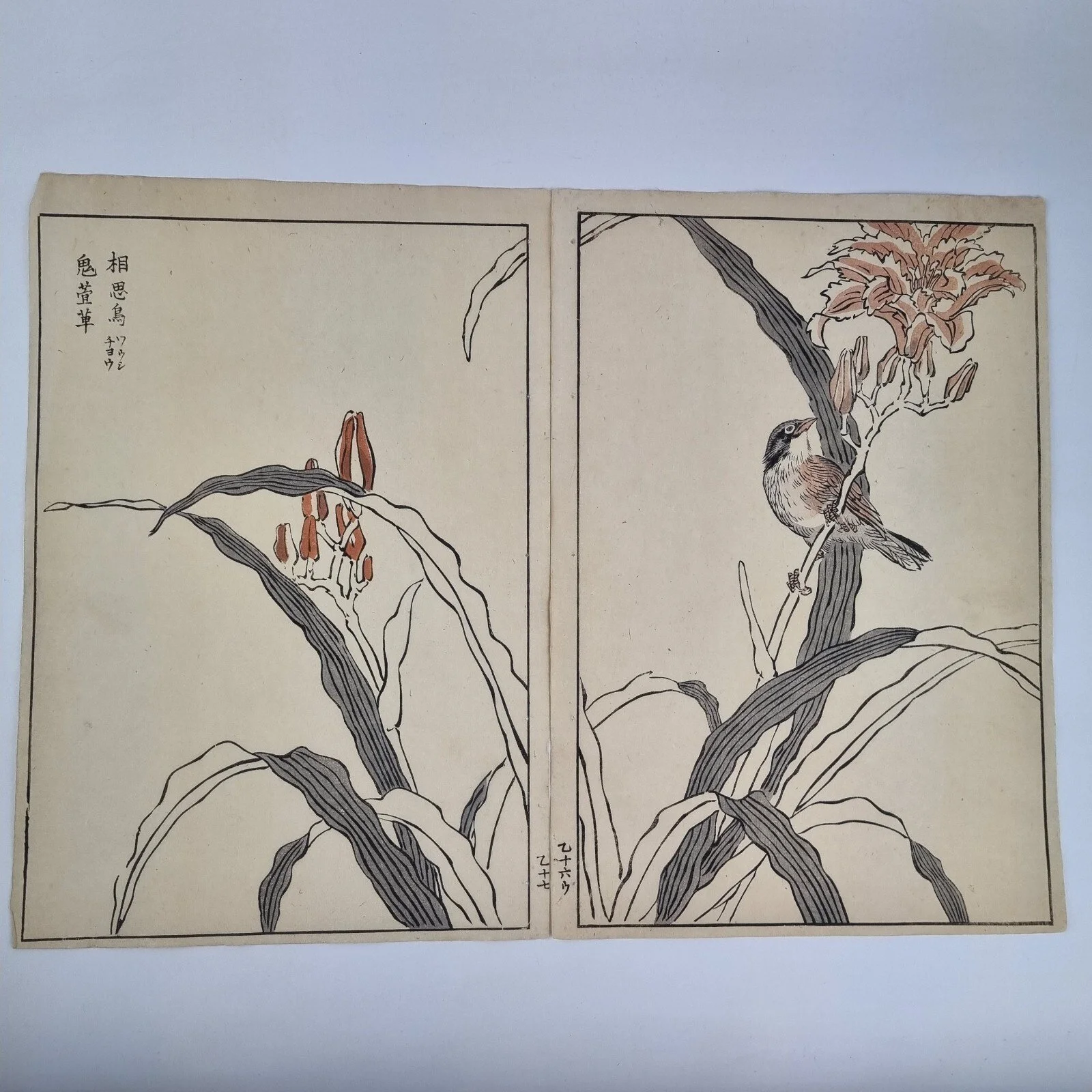 Bairei Kono Vintage Japanese Woodblock Print Bird On A Flowering Branch