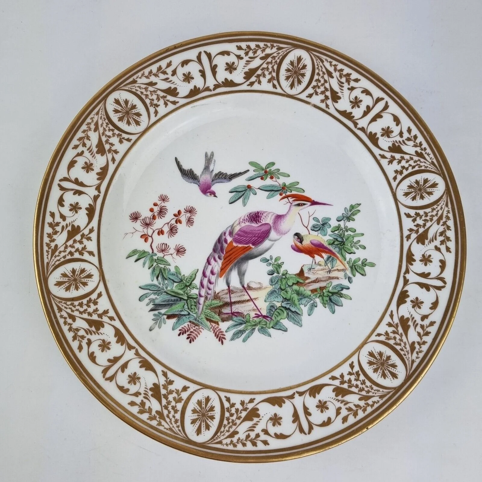Antique 19th Century Coalport? Plate Painted With Exotic Birds #1