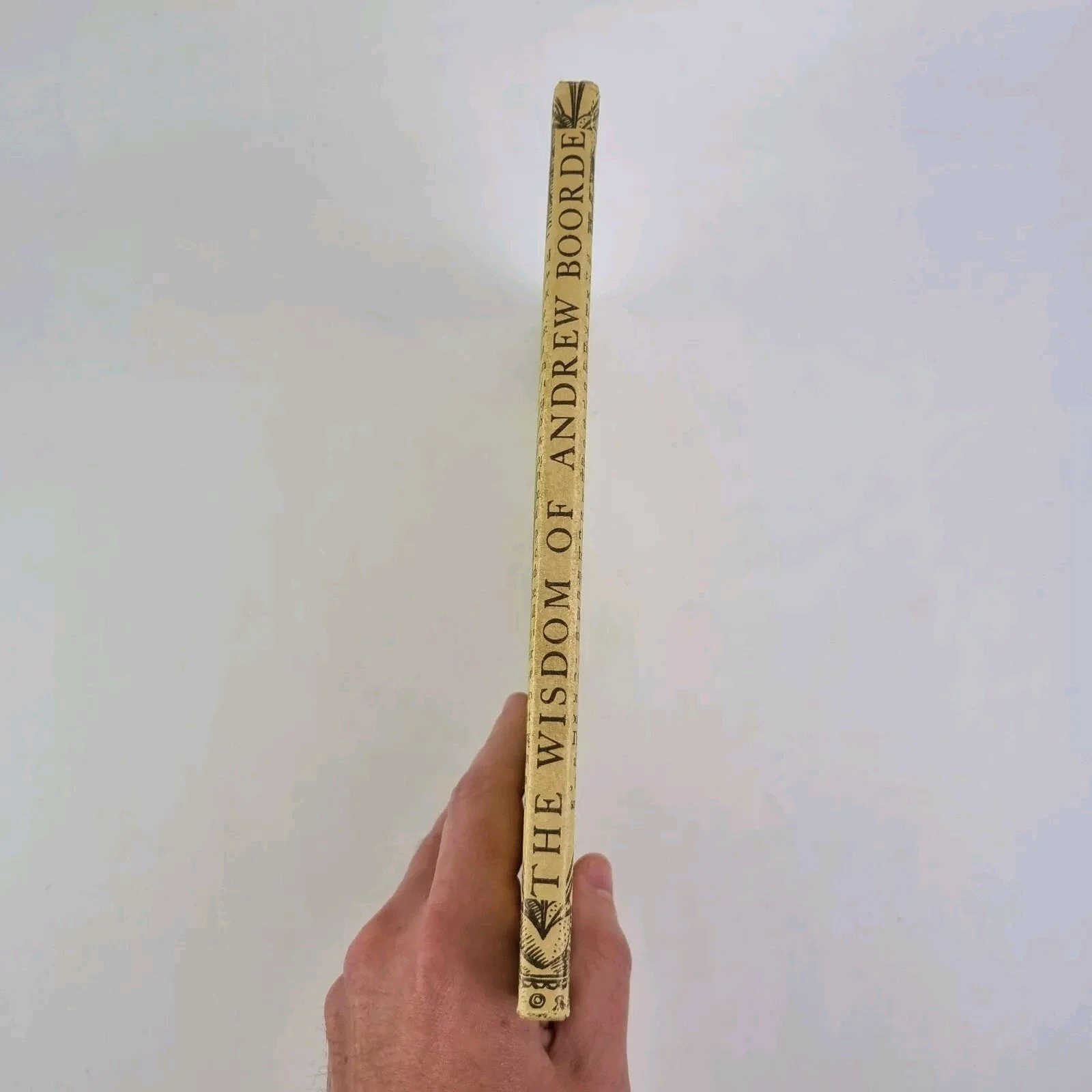b.jpg
