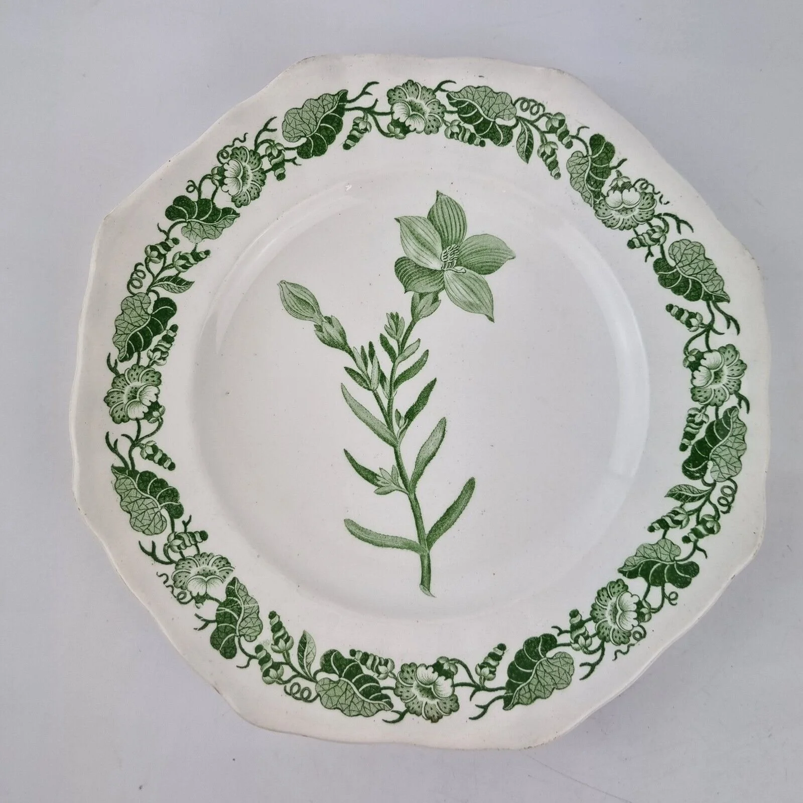 Antique 19thC Copeland & Garrett Green Transfer Printed Botanical Flower Plate 2