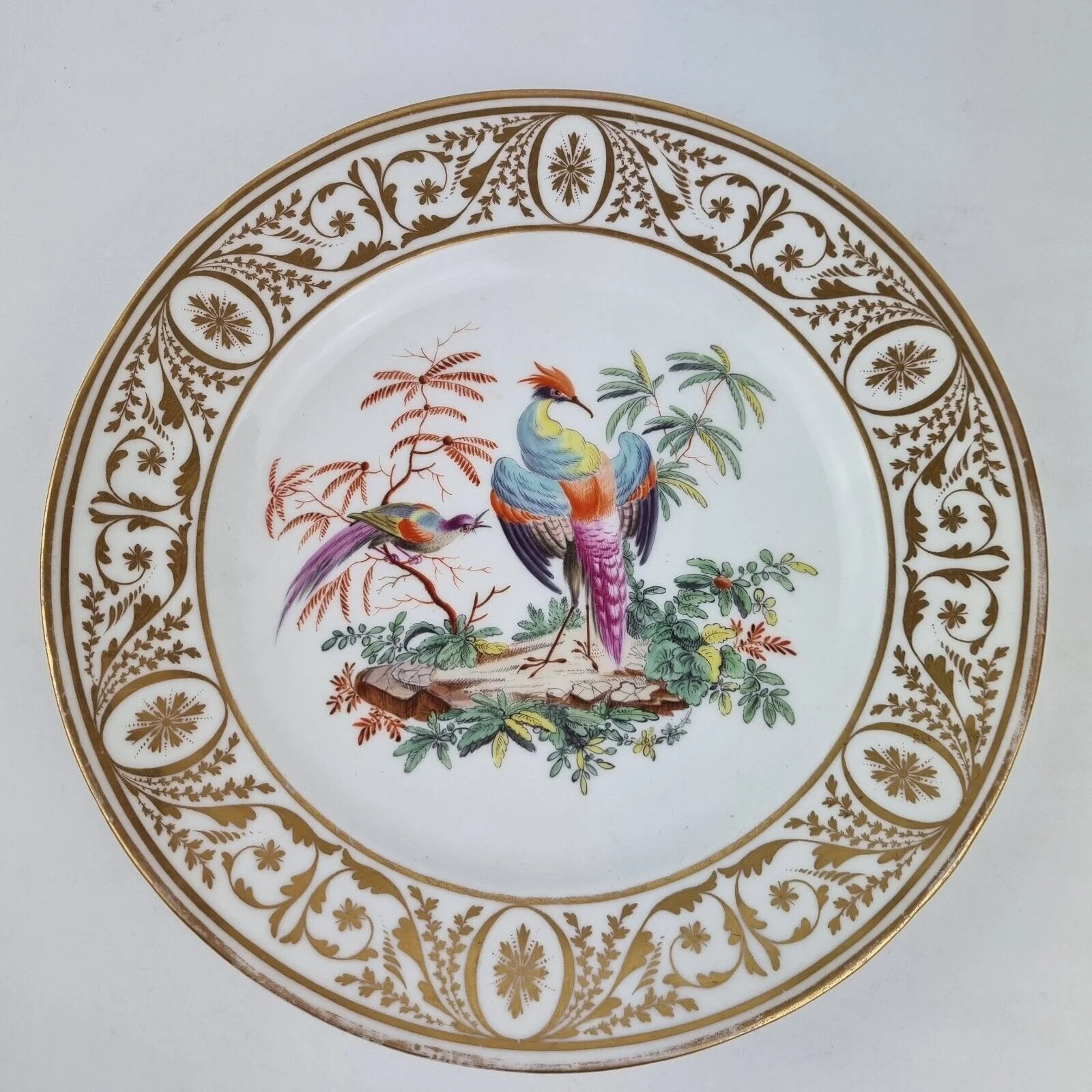 Antique 19th Century Coalport? Plate Painted With Exotic Birds #2