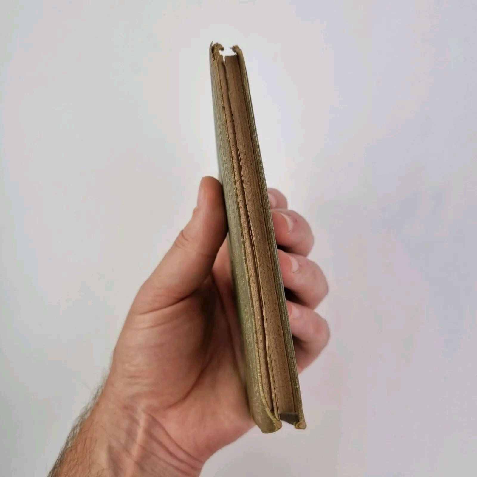 e.jpg