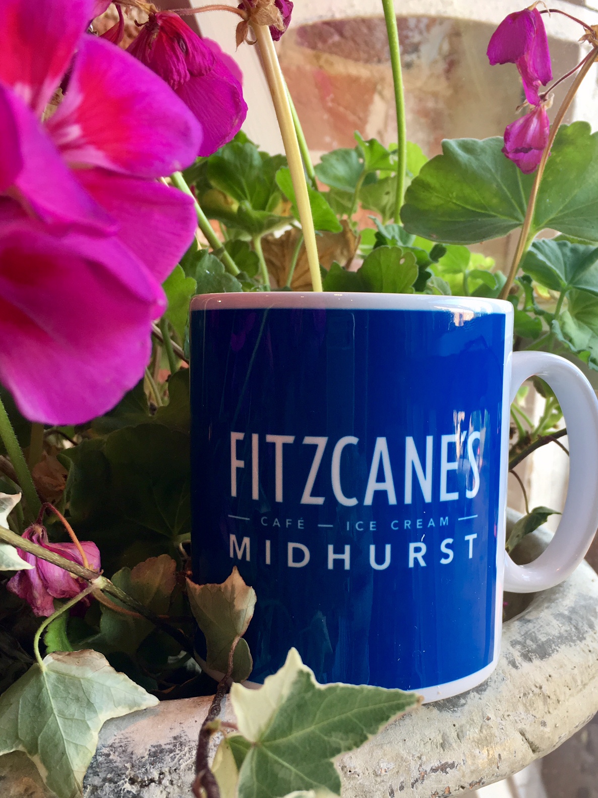 Mug and Flowers.jpg