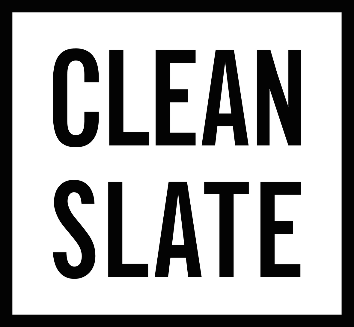 CLEAN SLATE SKIN CARE | natural vegan handmade skin care