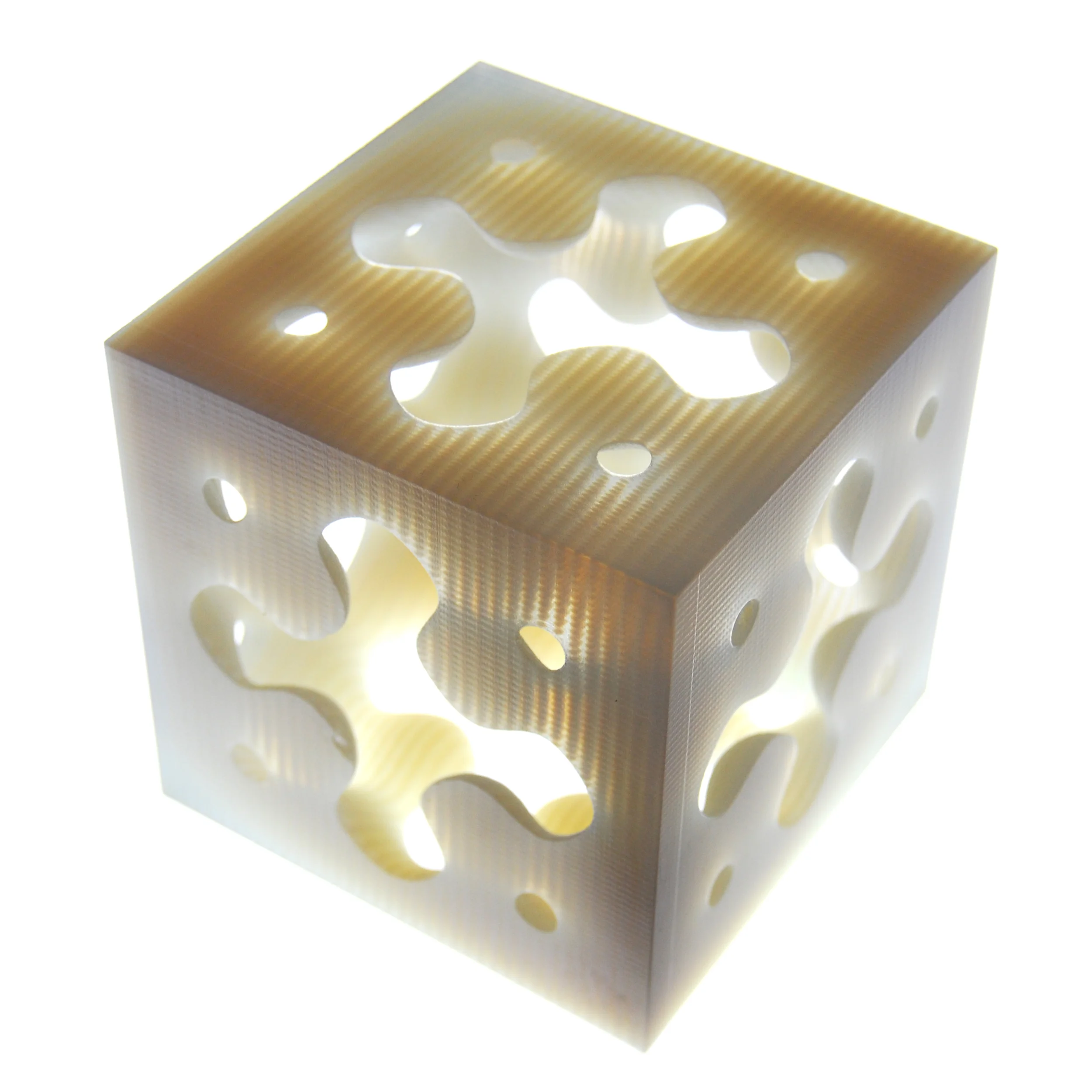  Model by Andy Payne. 