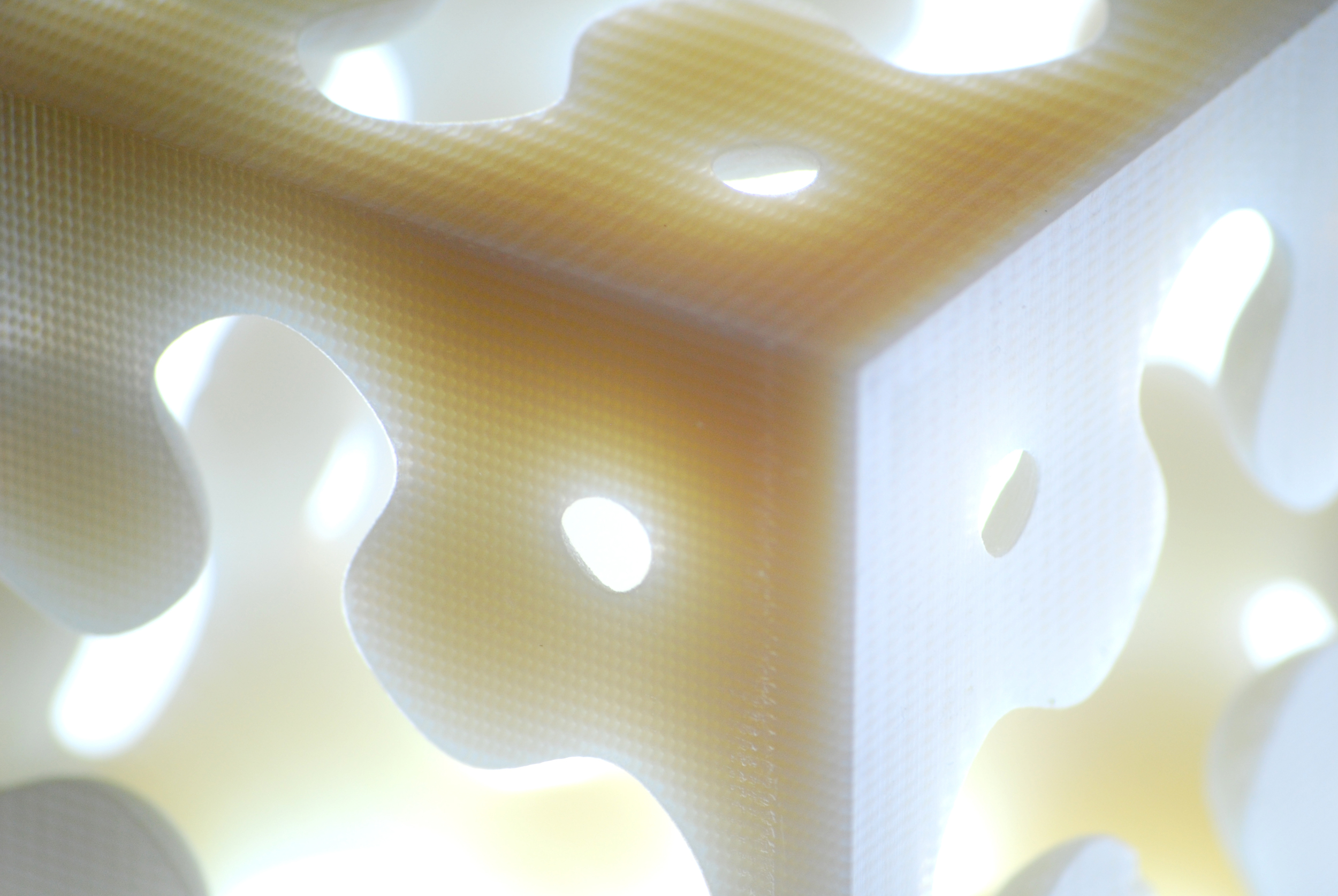  Model by Andy Payne. 