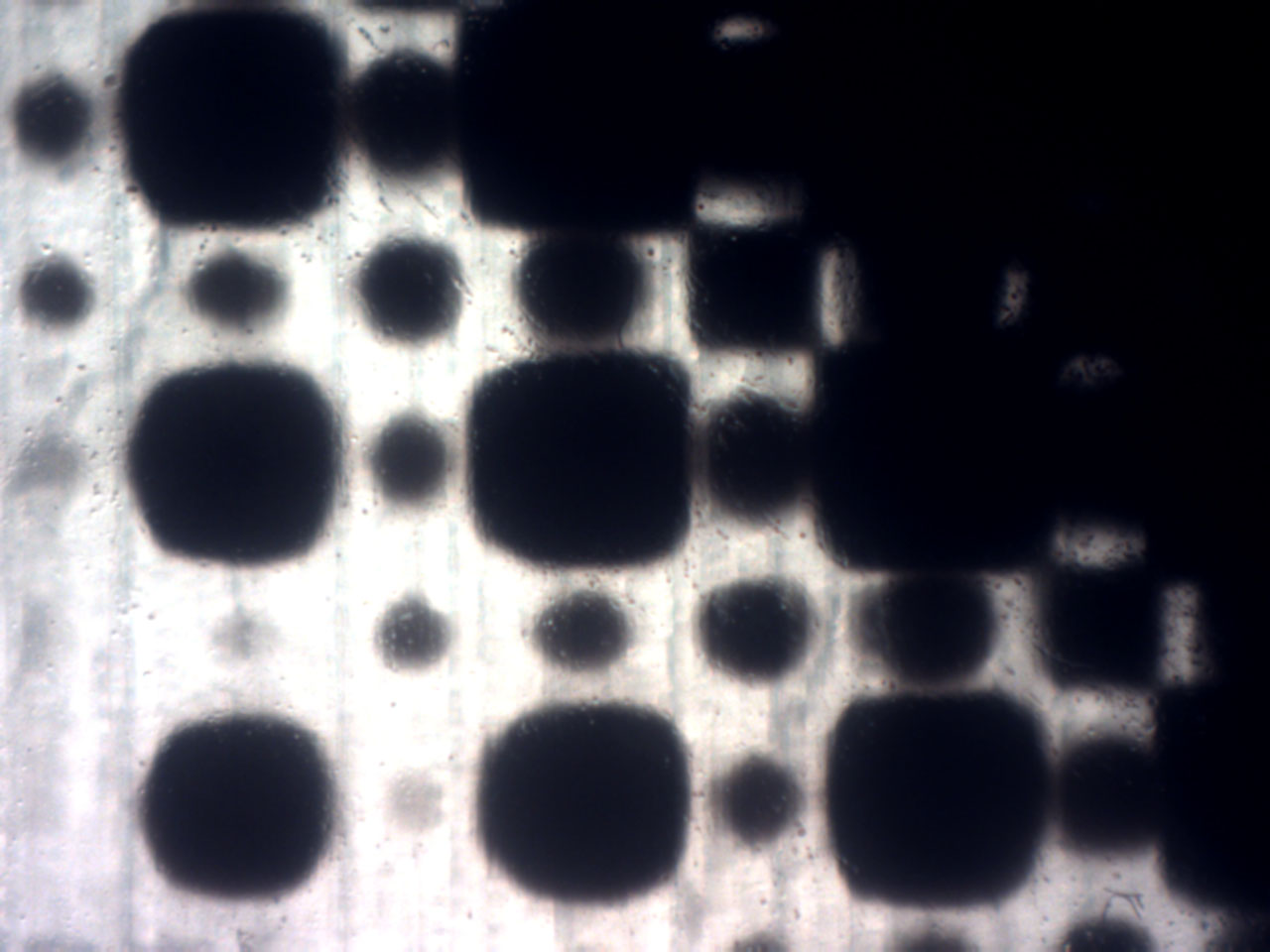  Closeup of printed half-tone pattern. Magnification levels range from x80 to x200. 