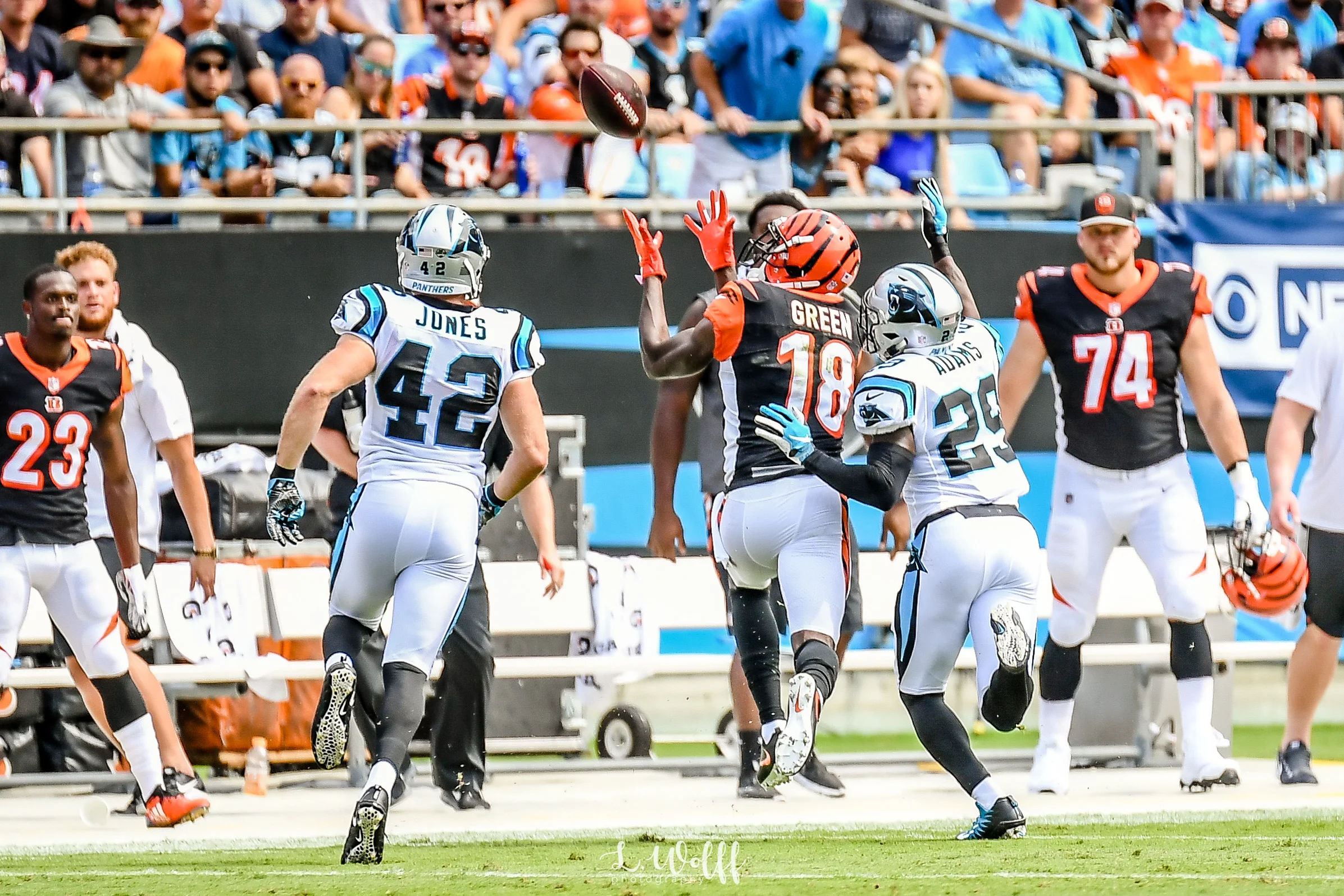 1-11.jpg