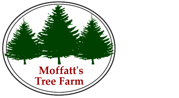 Moffatt's Tree Farm