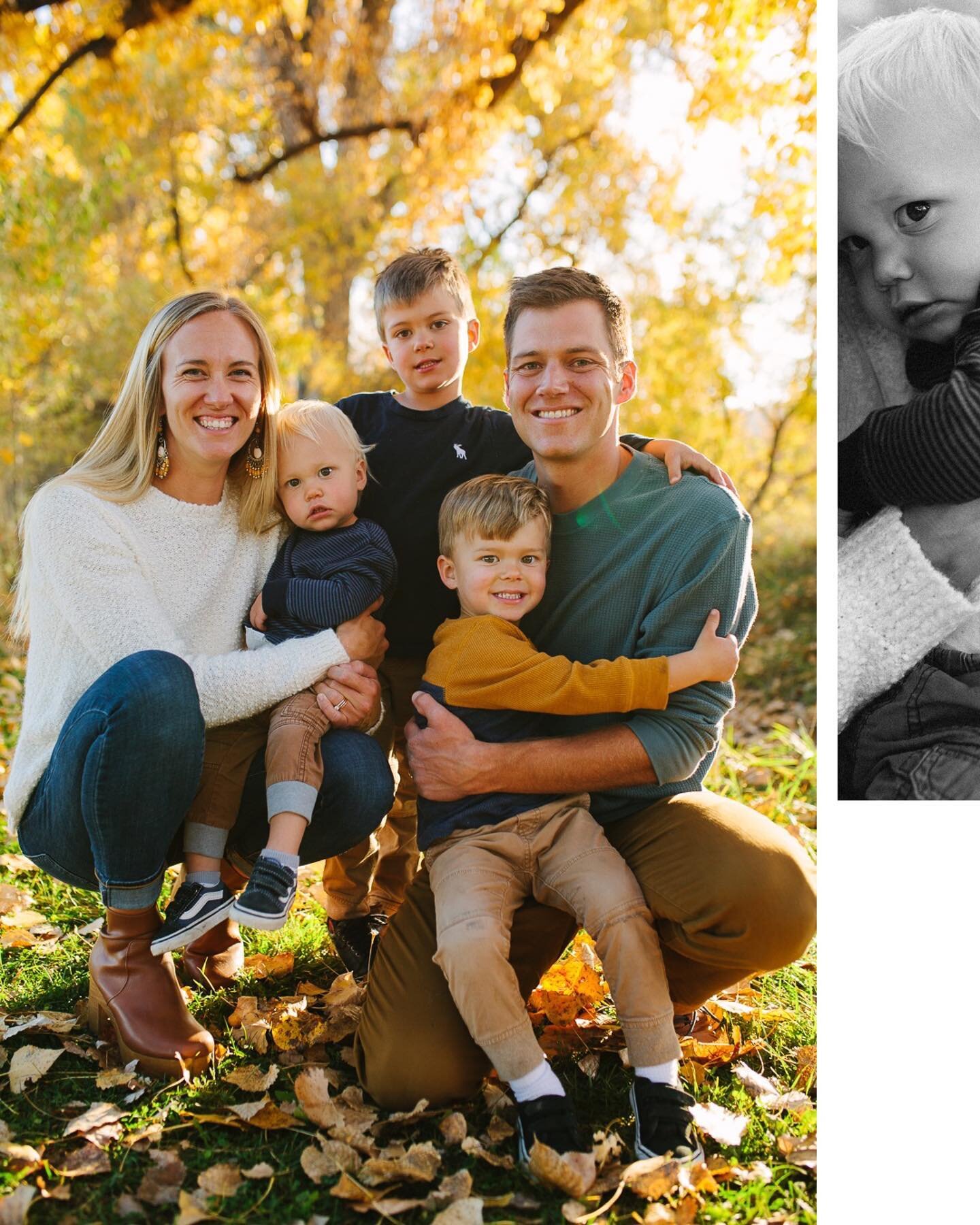 Colorado making my job so easy in the fall. 🍯

&mdash;&mdash;

#fortcollinsphotographer #focophotographer #familyphotographer #motherhoodphotographer #fortcollinsfamilyphotographer #focofamilyphotographer #fortcollinslifestylephotographer