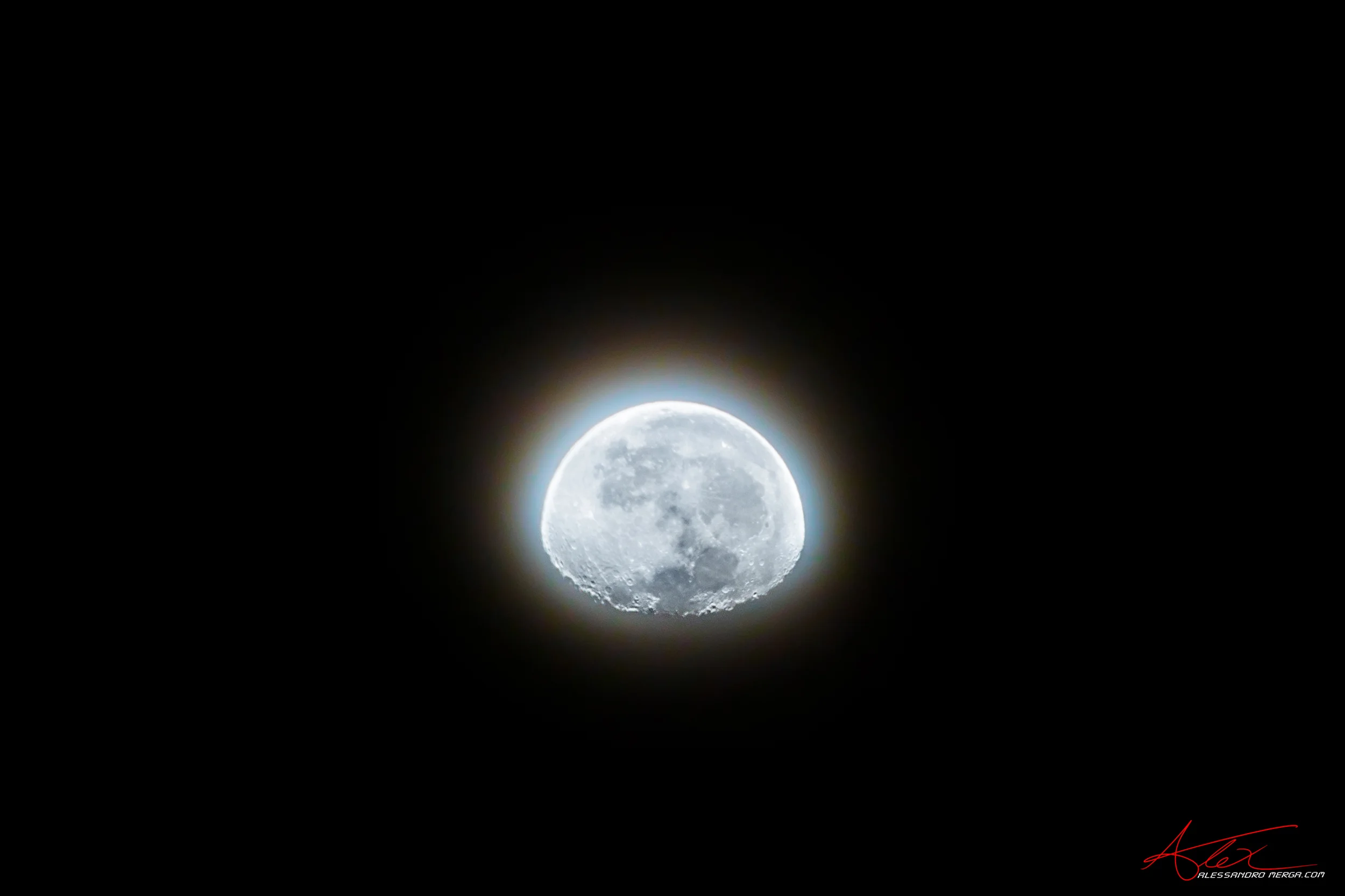 7DII0726.jpg