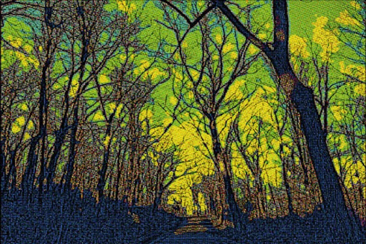 woodspostcard.jpg