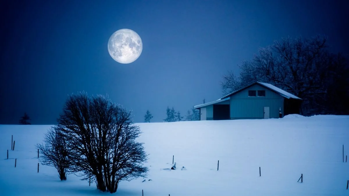 Full Cold Moon Guided Meditation December 7 2022 6 30pm Ladan full-cold-moon-guided-meditation-december-7-2022-6-30pm-ladan