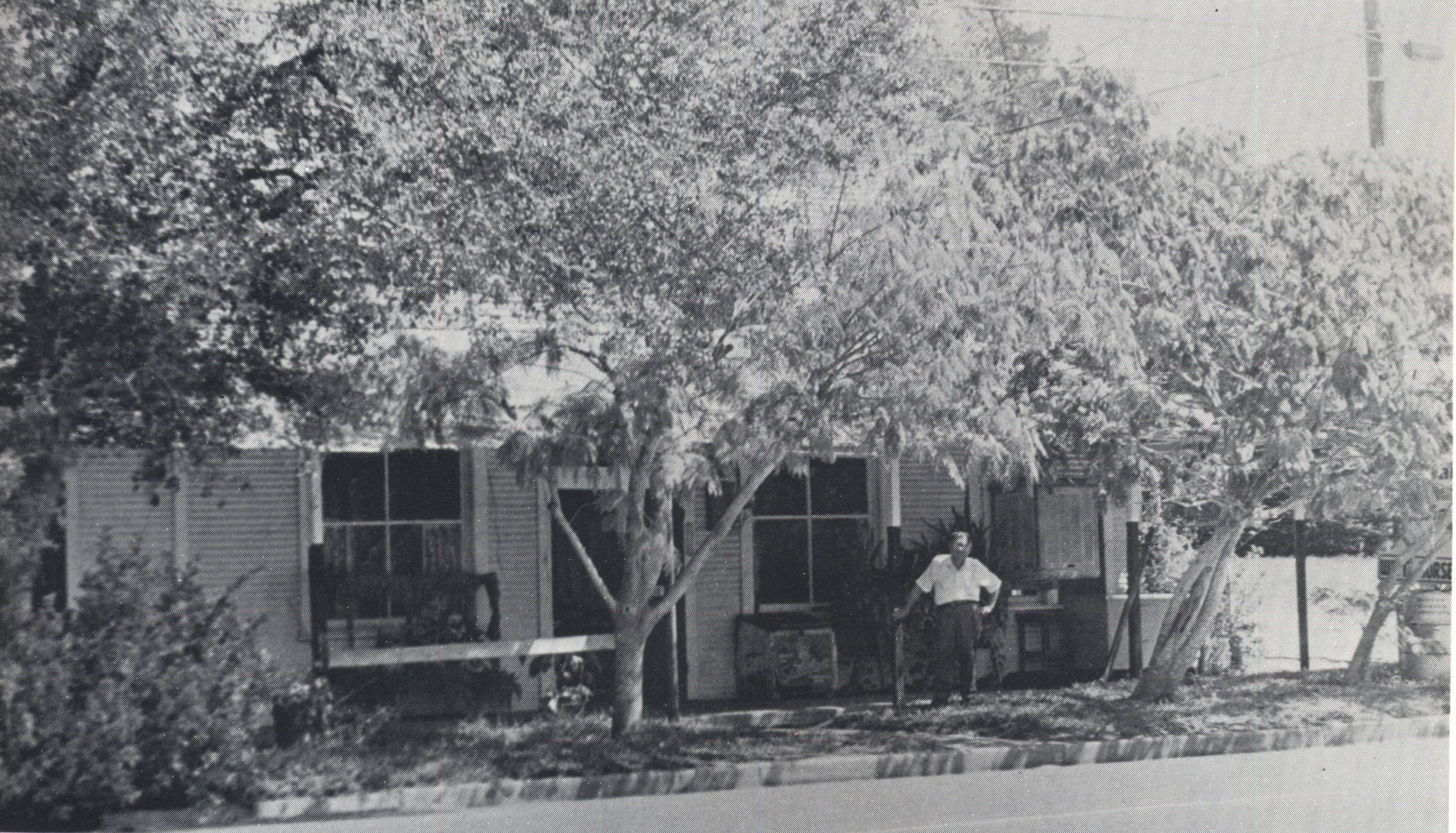 White Horse Cafe, 1974