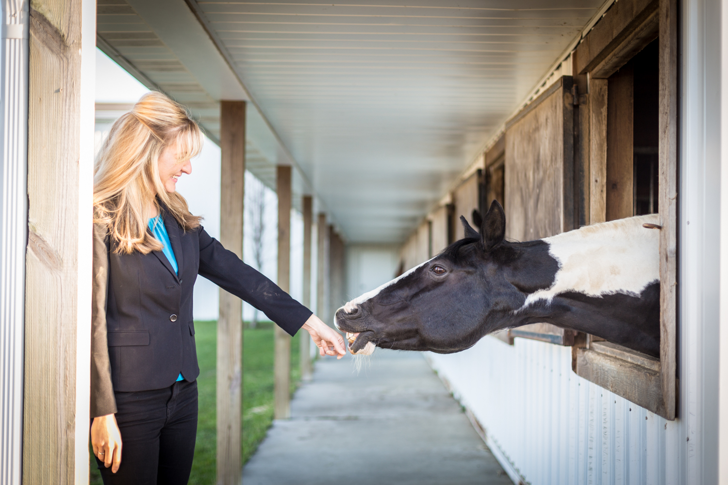 cleveland horse photographer 